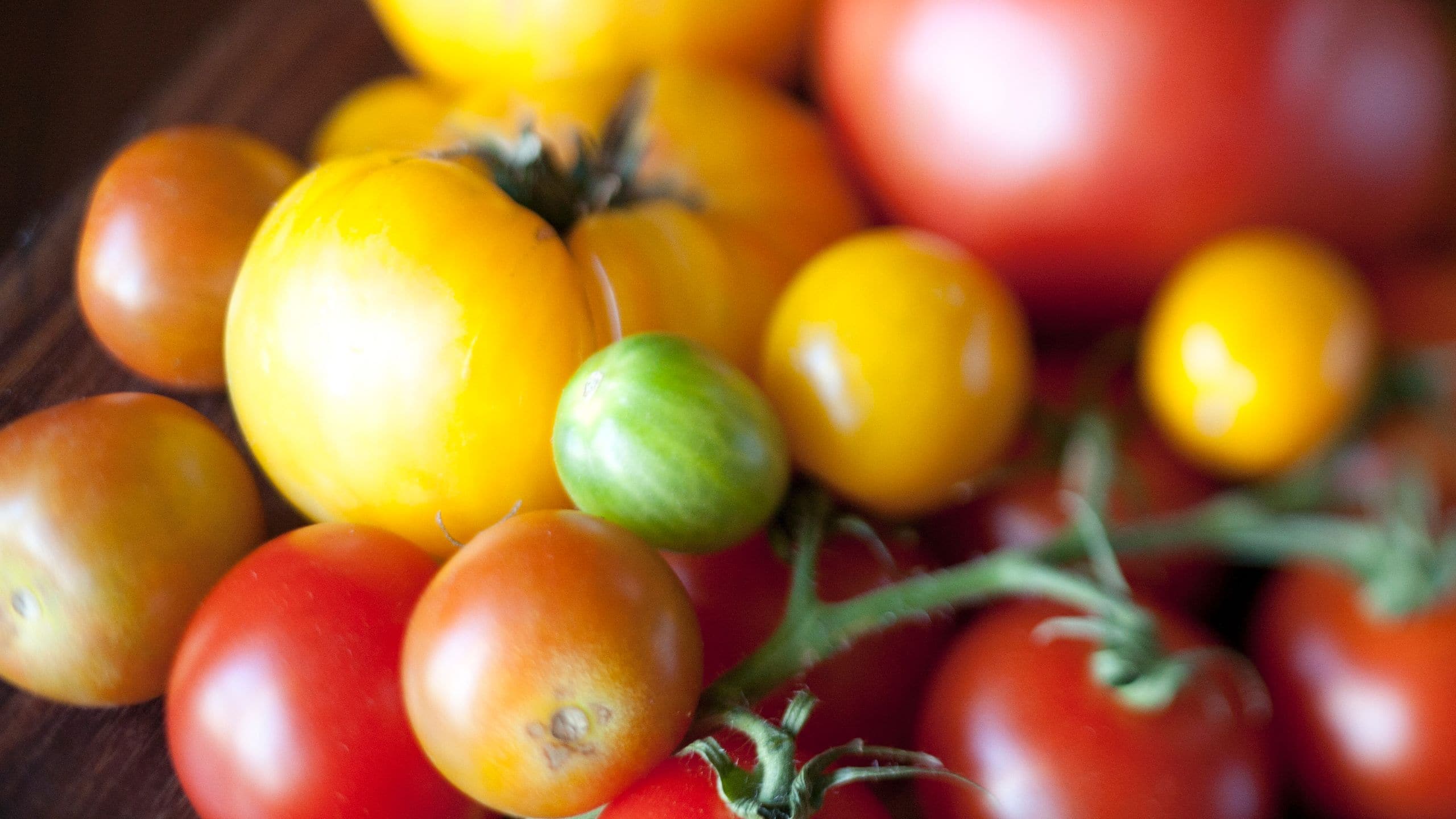 Global Tomatoes on the Vine