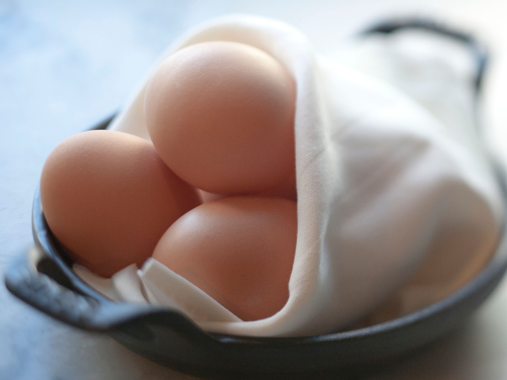 Global Bowl of Eggs