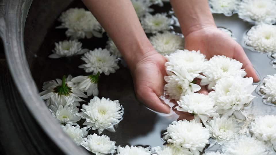 Spa Water Basin with Flowers