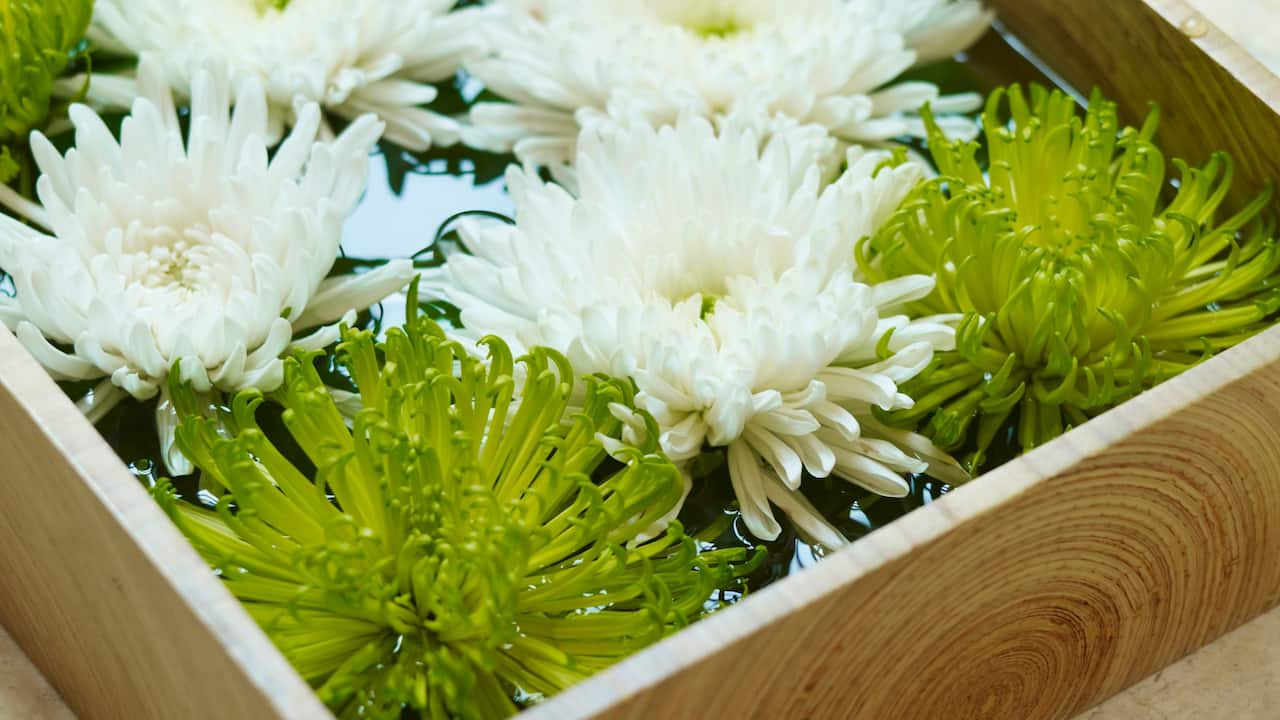 Park Hyatt Niseko Hanazono Flower
