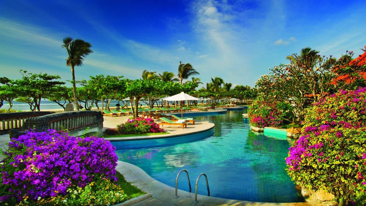 Pool and garden view
