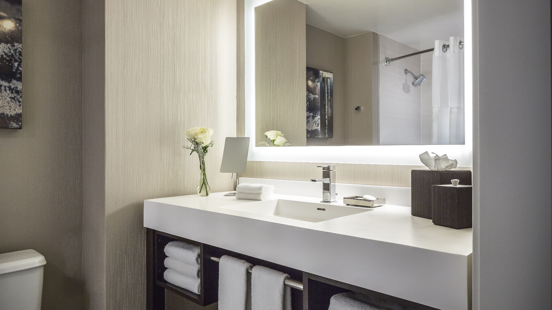 6/6 Guest Bathroom Vanity