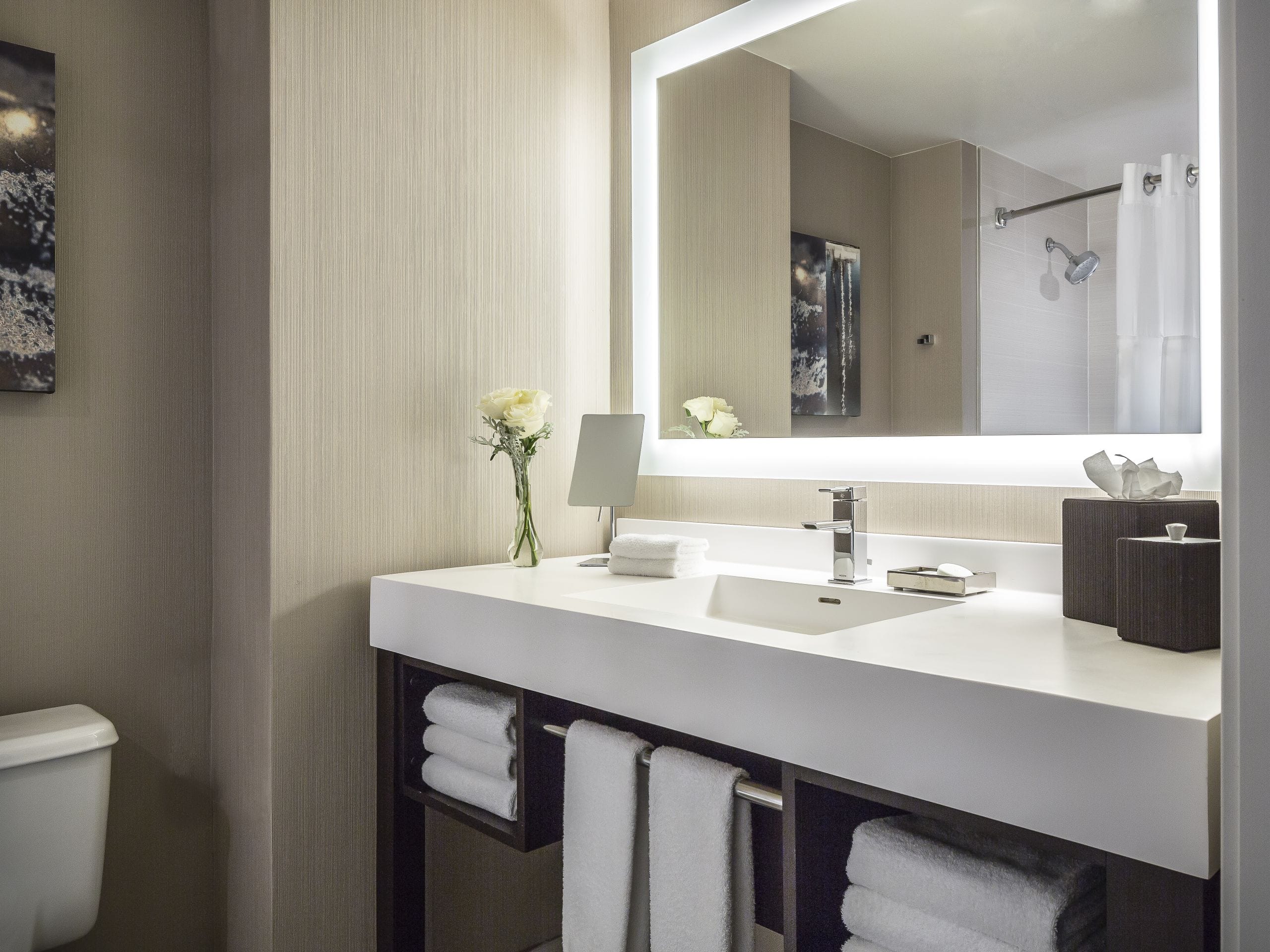 Guest Bathroom Vanity