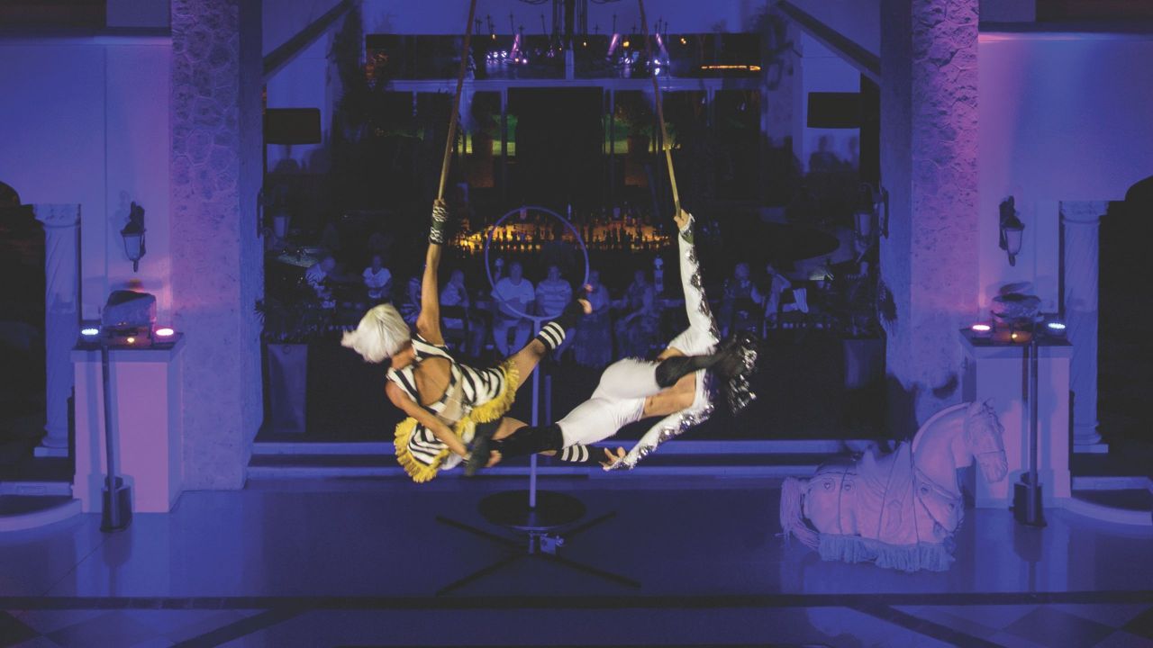 Entertainment Performers