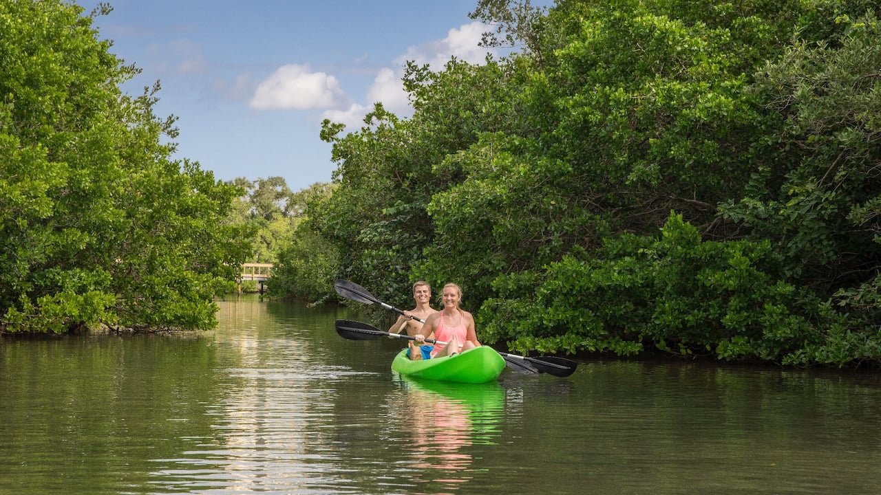 Hyatt Regency Sarasota Kayaking 