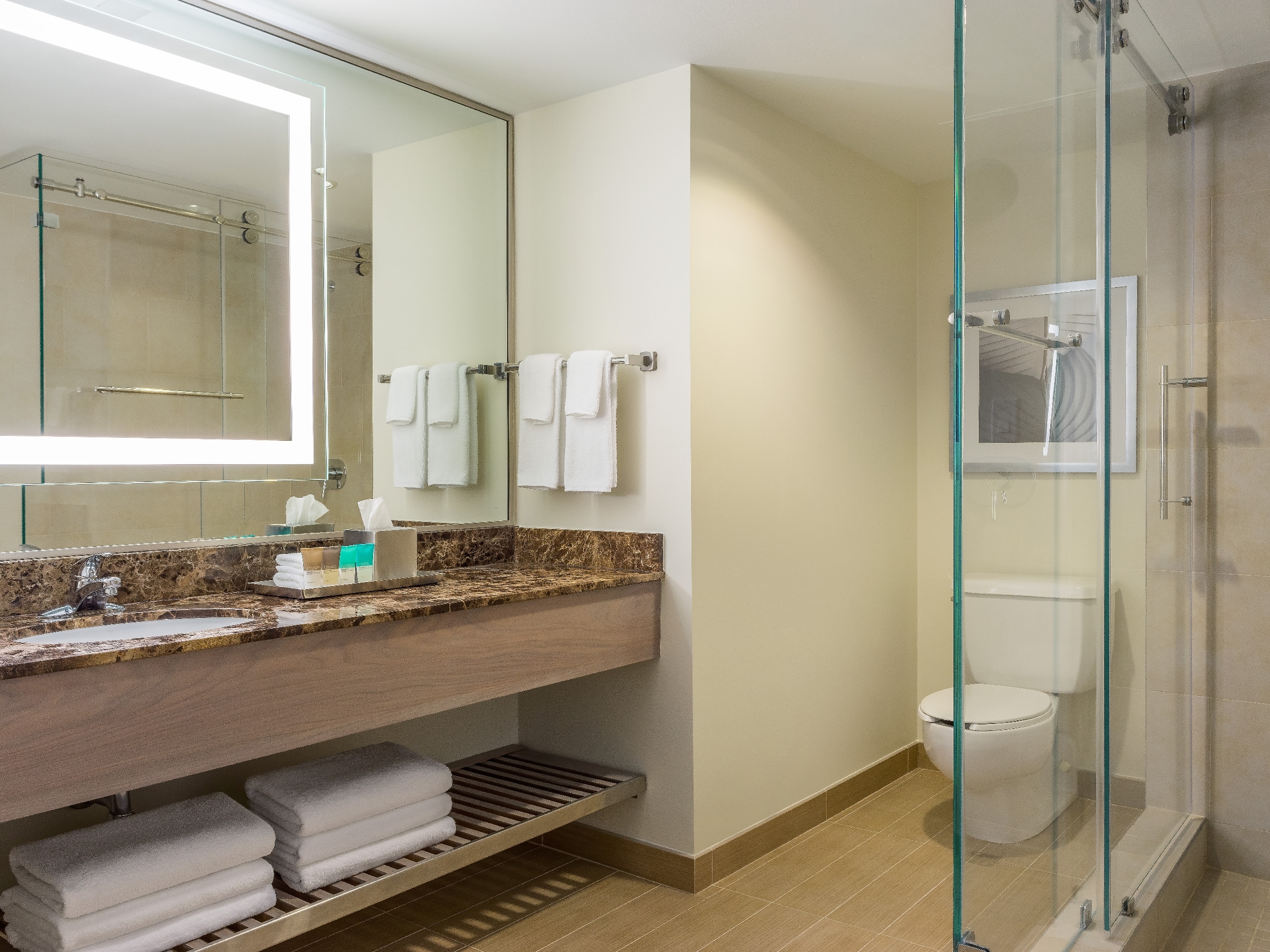 Executive Suite bathroom with extended vanity and shower