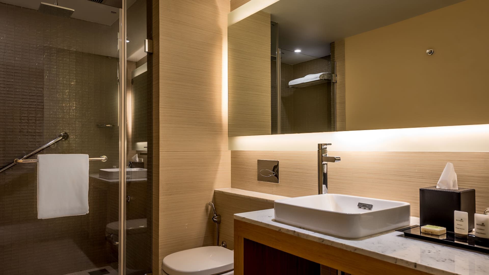 2/3 Hyatt Place Pune Hinjawadi Bathroom