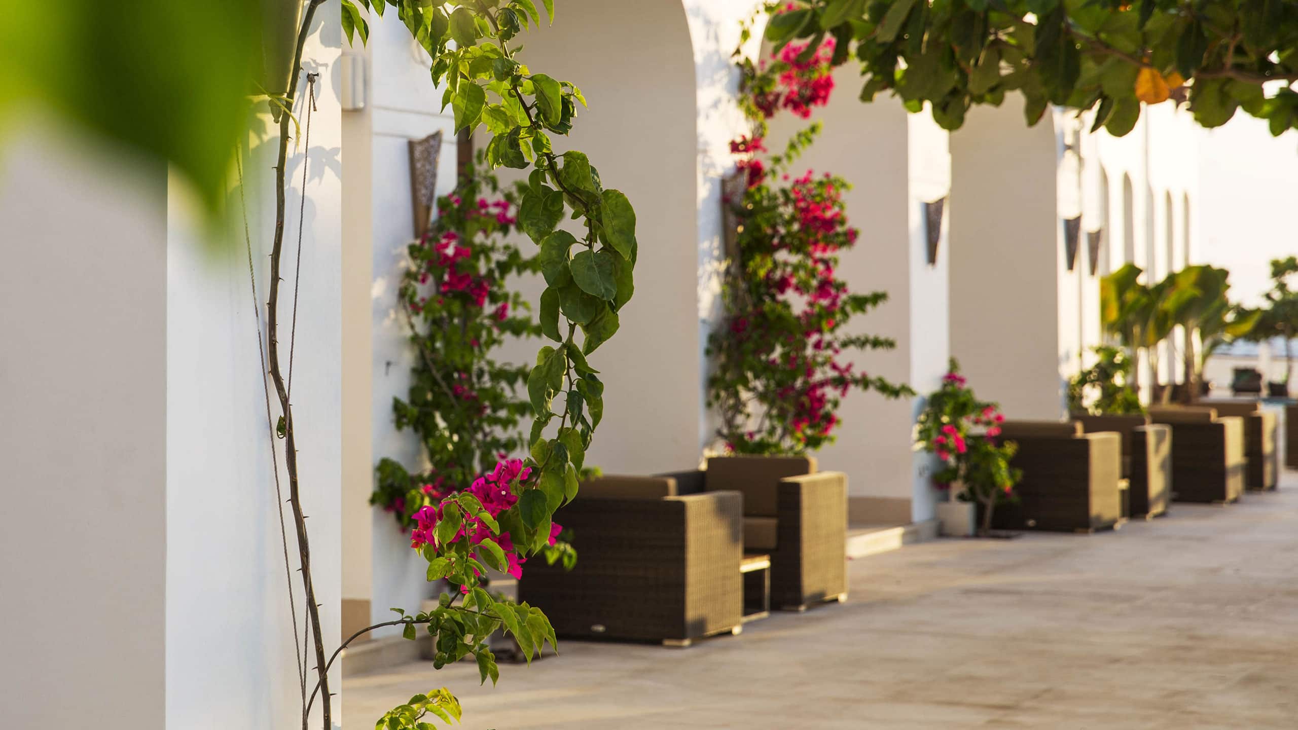 Park Hyatt Zanzibar Dining Room Terrace