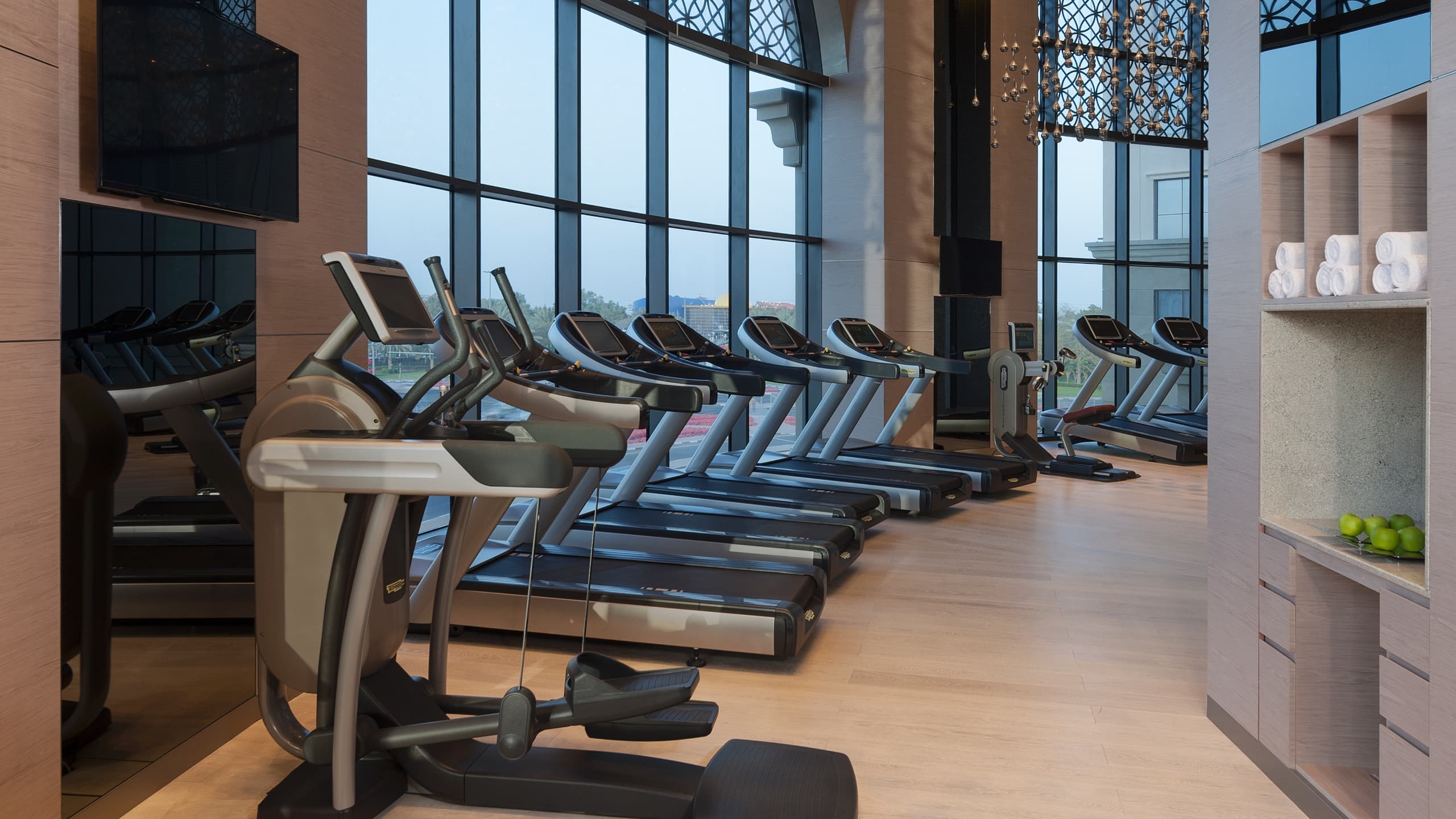 Hyatt Regency Dubai Creek Heights Gym