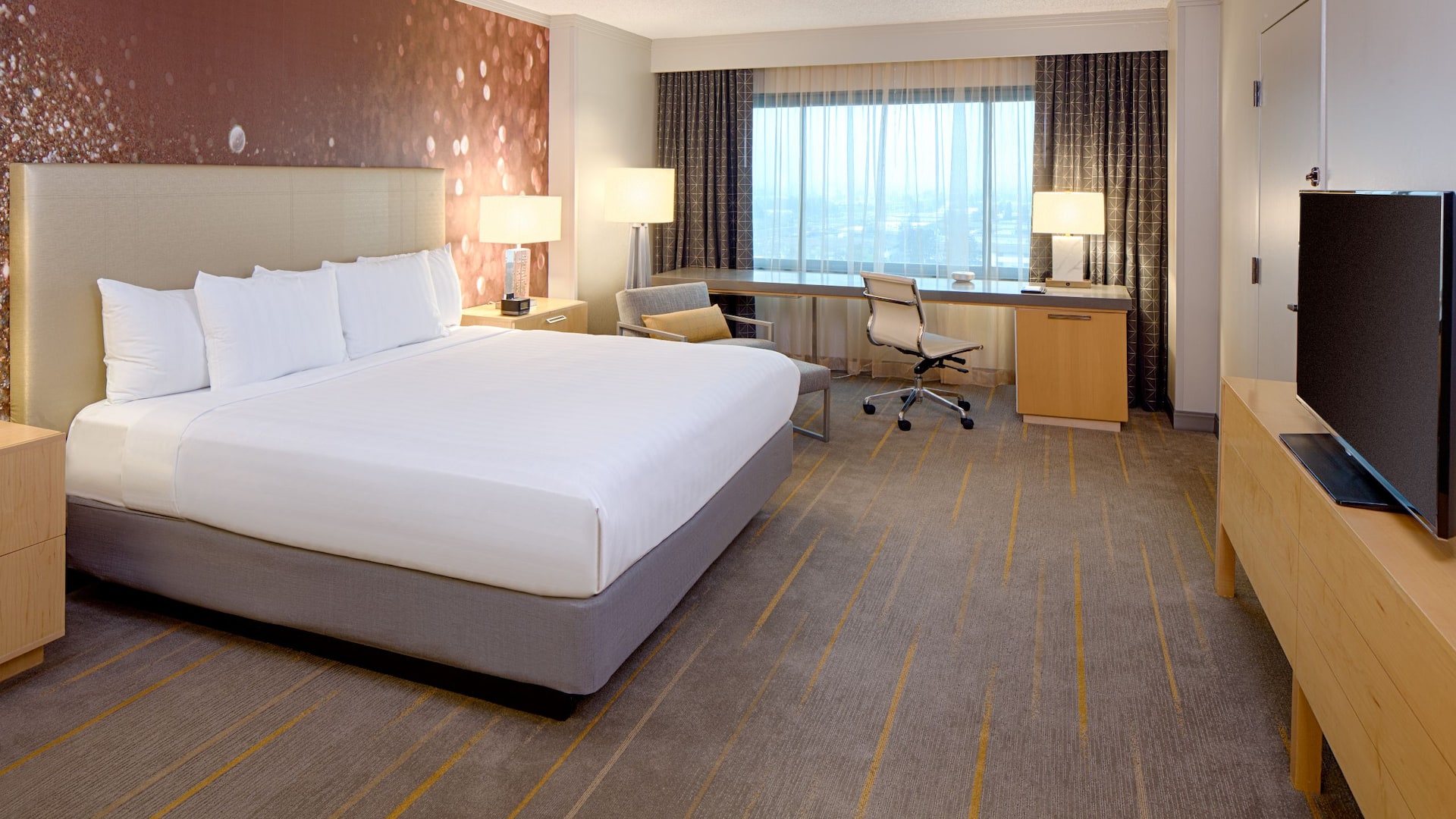第 1，共 3 Hyatt Regency Santa Clara King No Balcony