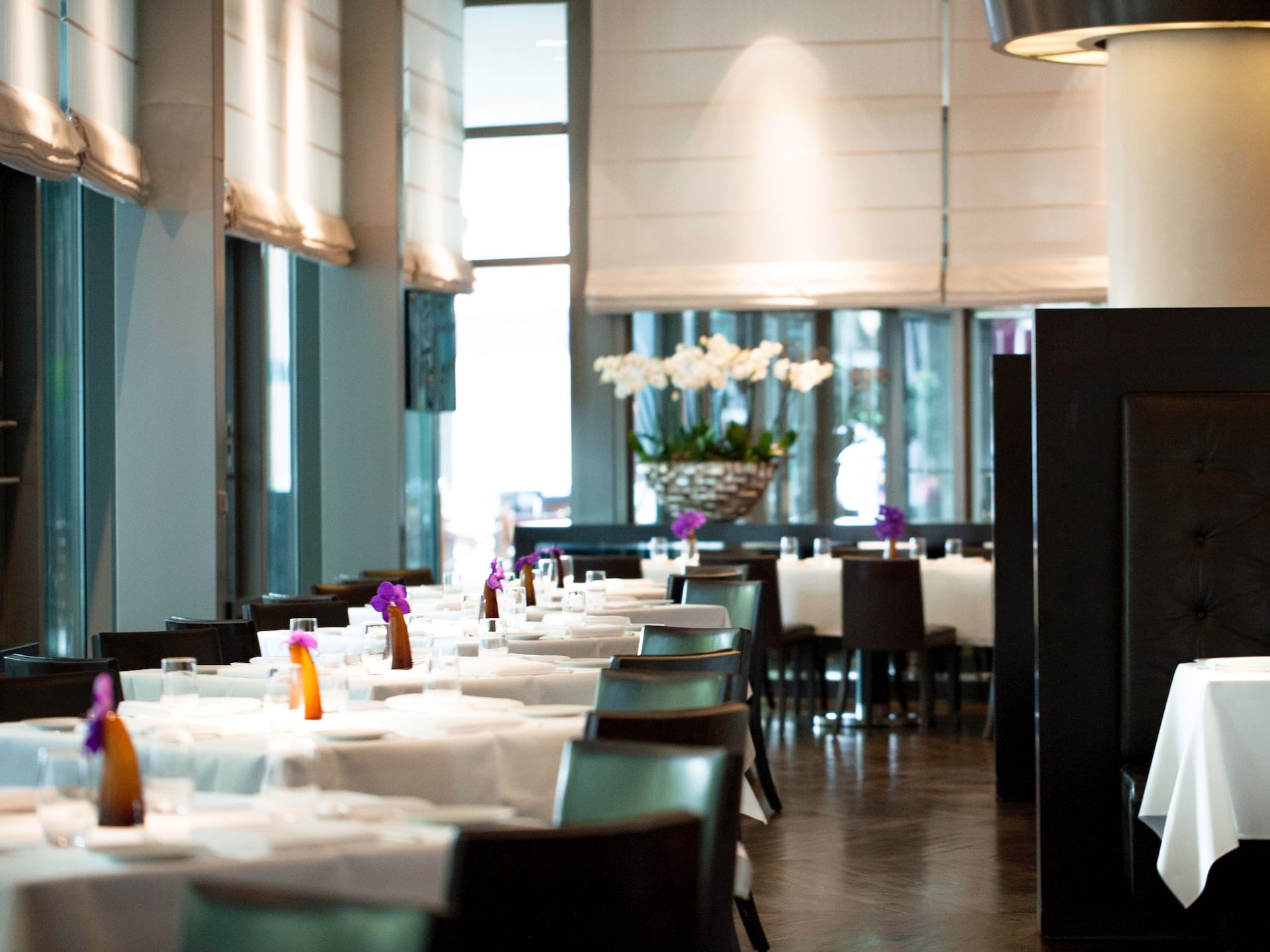 Grand Hyatt Berlin Vox Terrace Dining Table