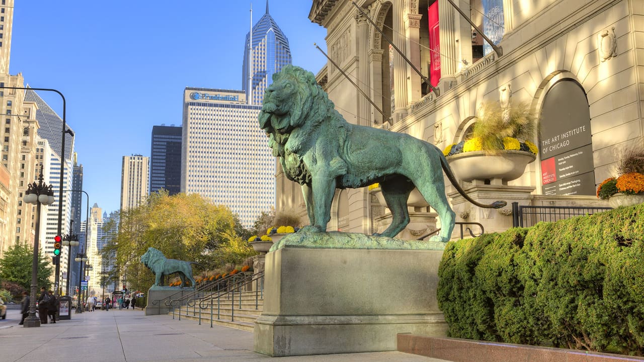 Art museum lion