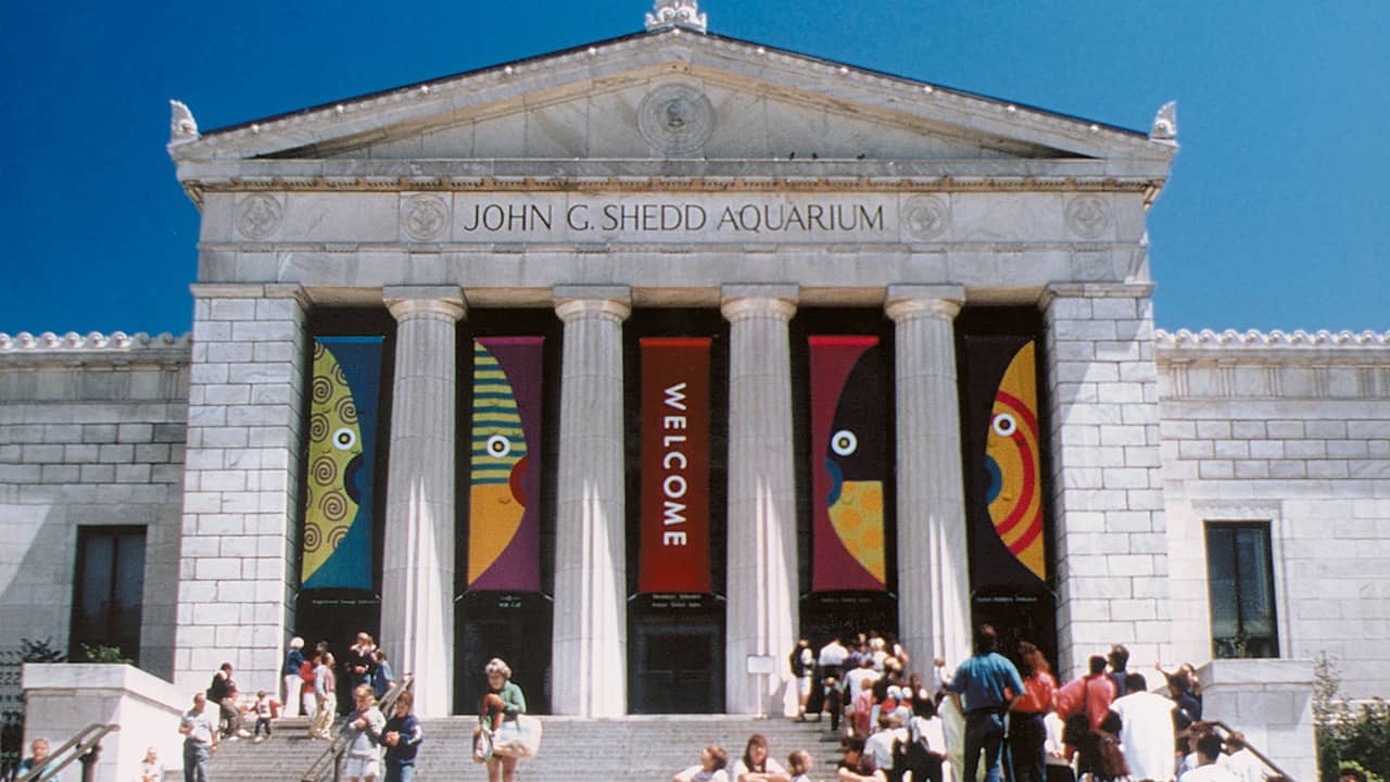 Chicago nature museums