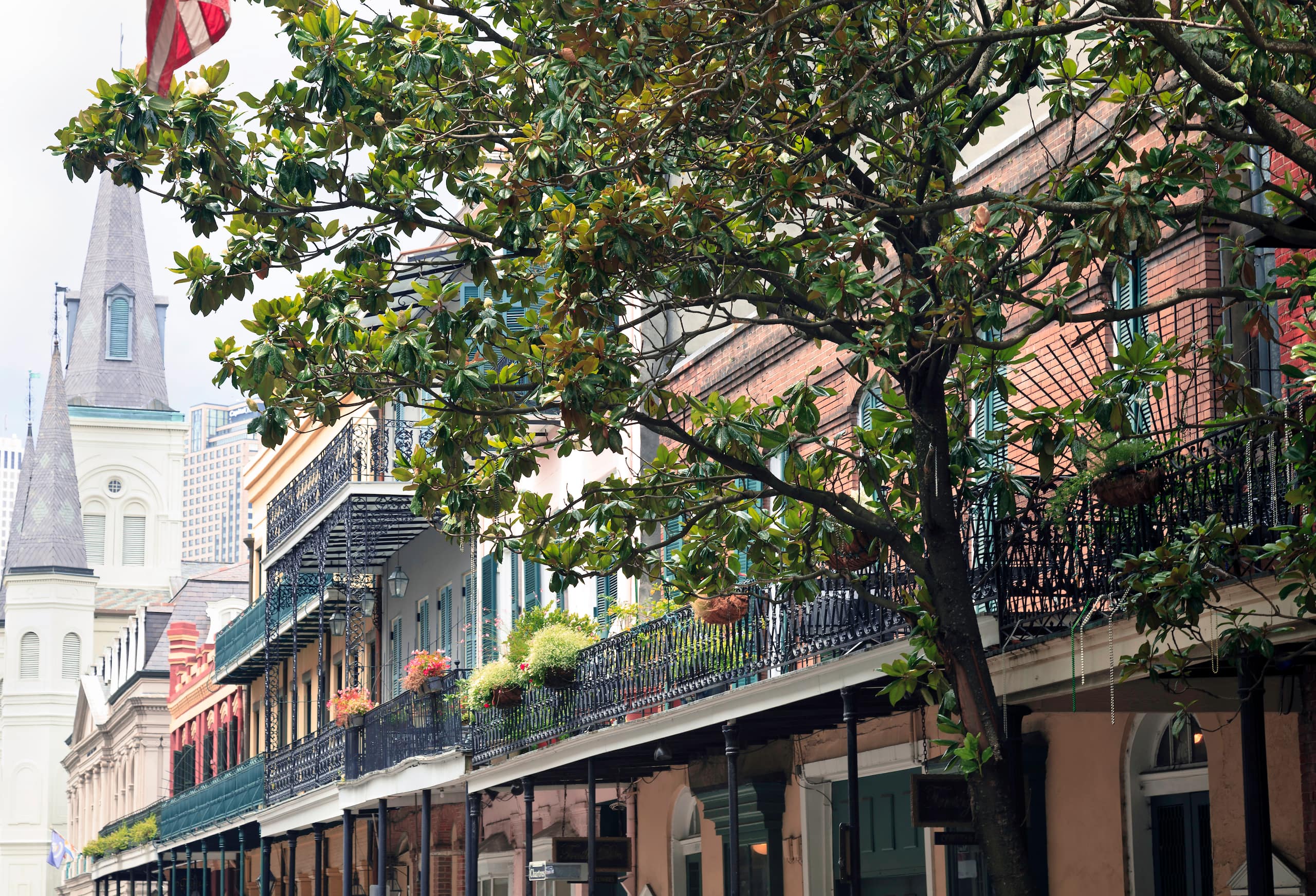 Hyatt Centric French Quarter New Orleans Quarter Houses