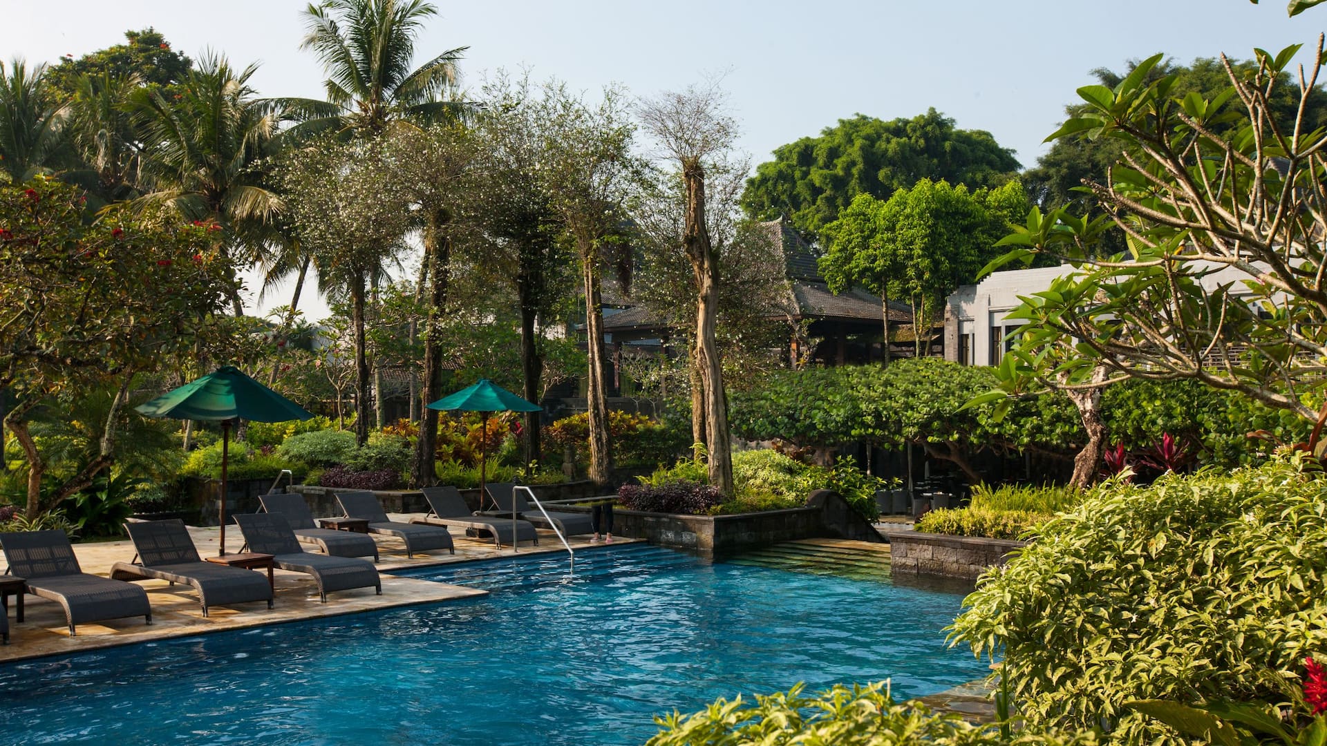 Hyatt Regency Yogyakarta Pool