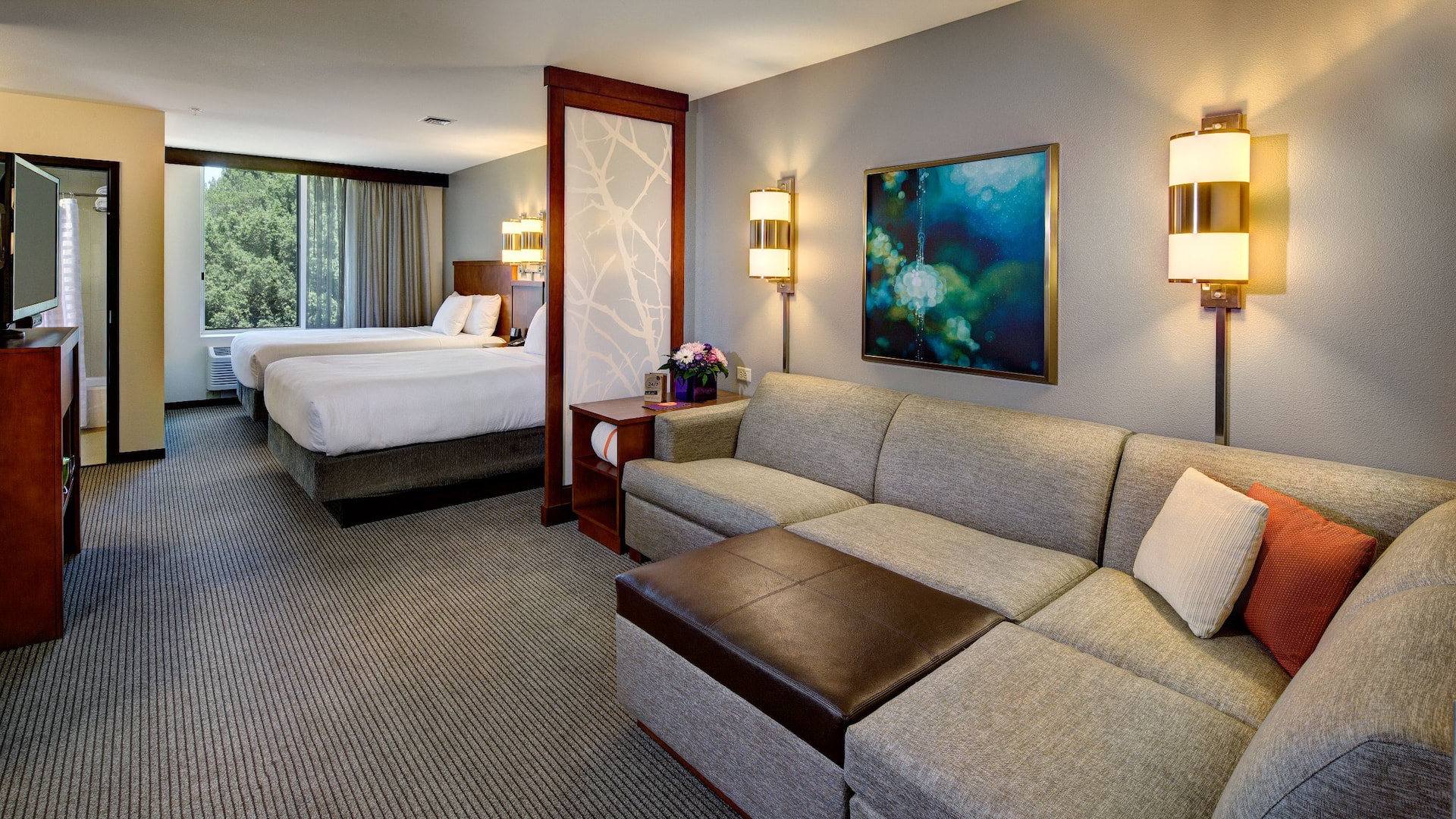 Hyatt Place UC Davis Double Queen Room