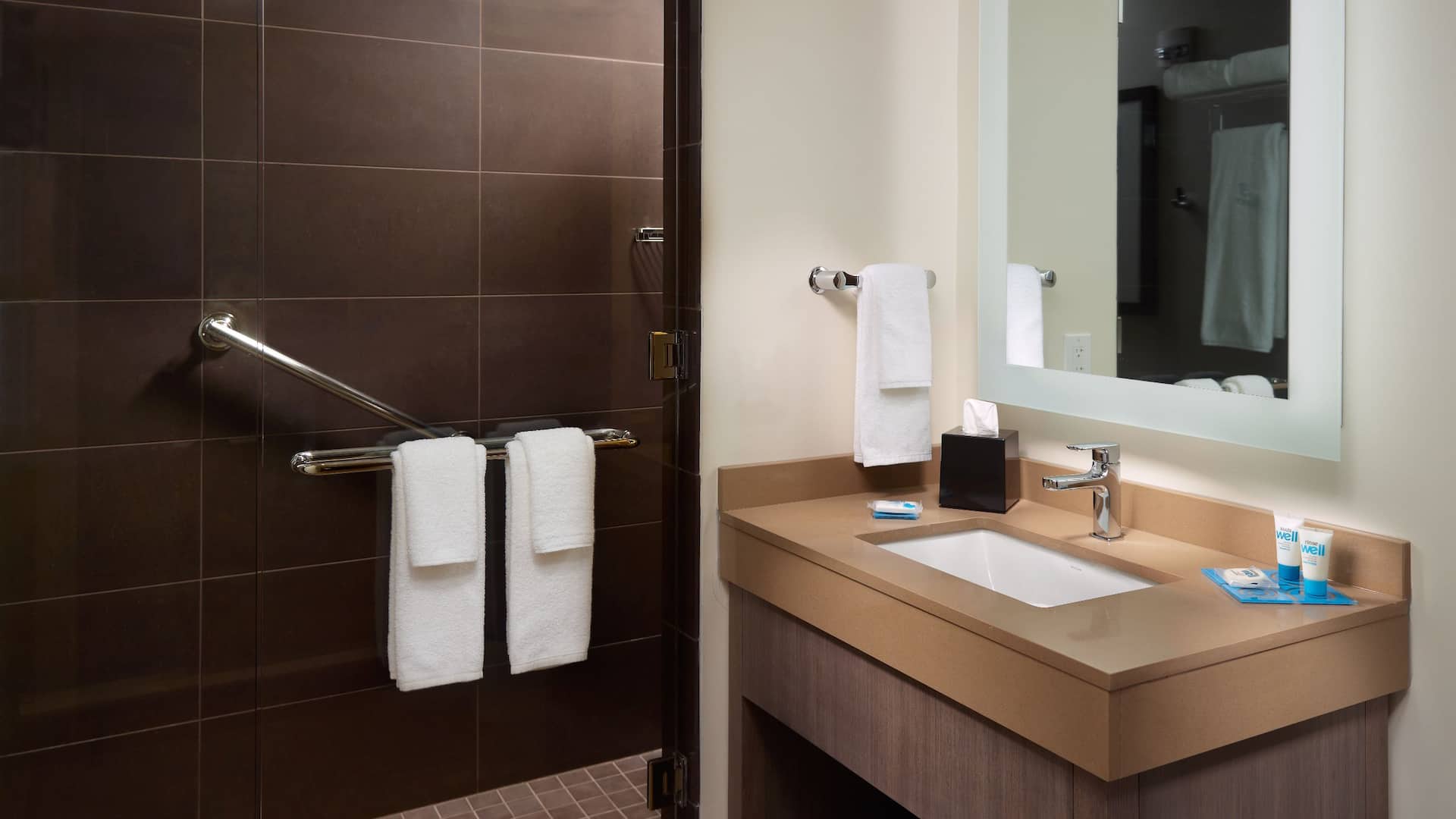 2/5 Hyatt House Atlanta/Downtown Bathroom