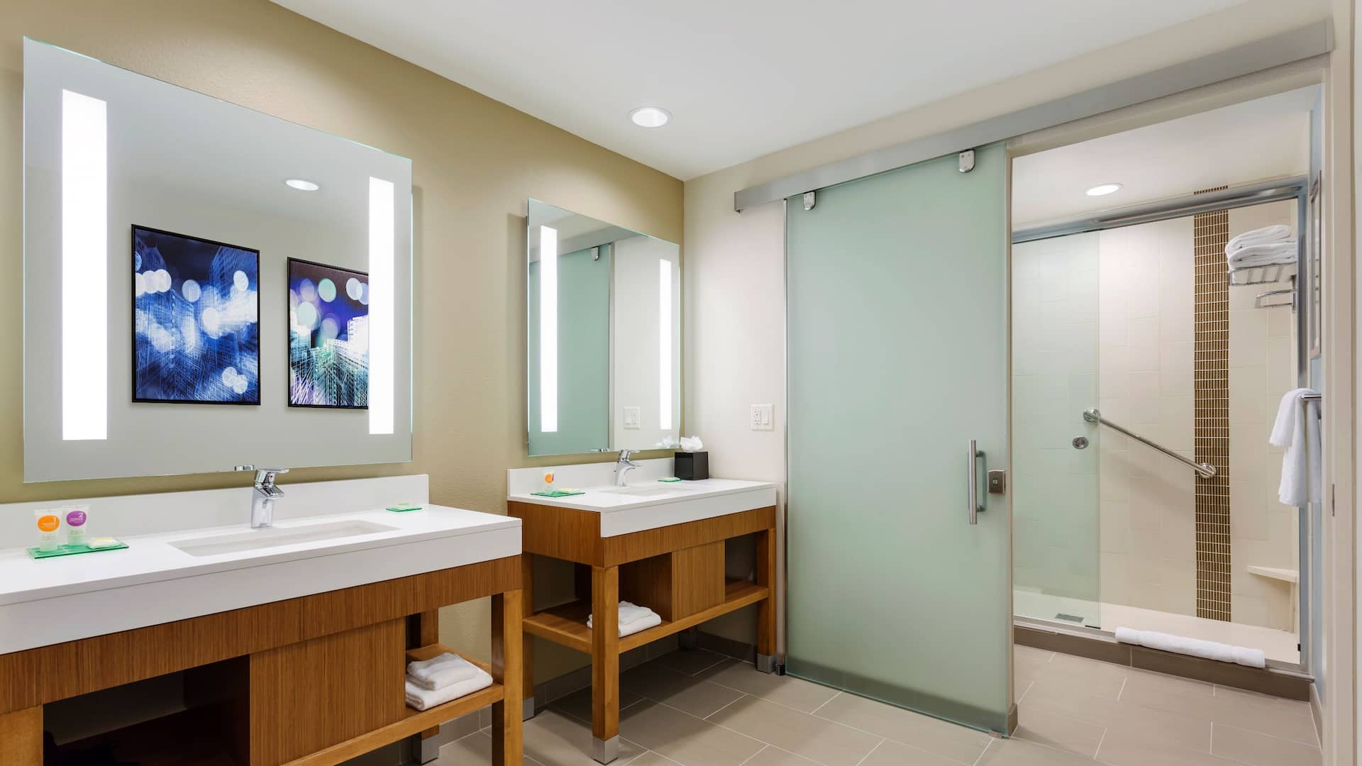 3 из 3 Hyatt Place Chicago/Downtown-The Loop Suite Bathroom