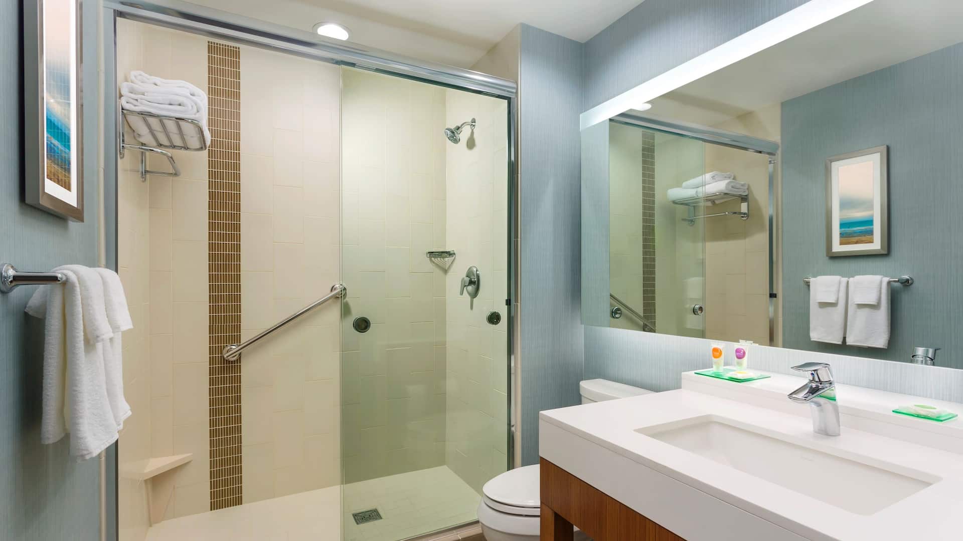 Hyatt Place Chicago/Downtown-The Loop Standard Shower
