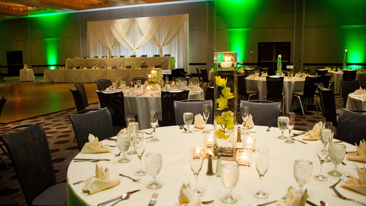Wedding Reception