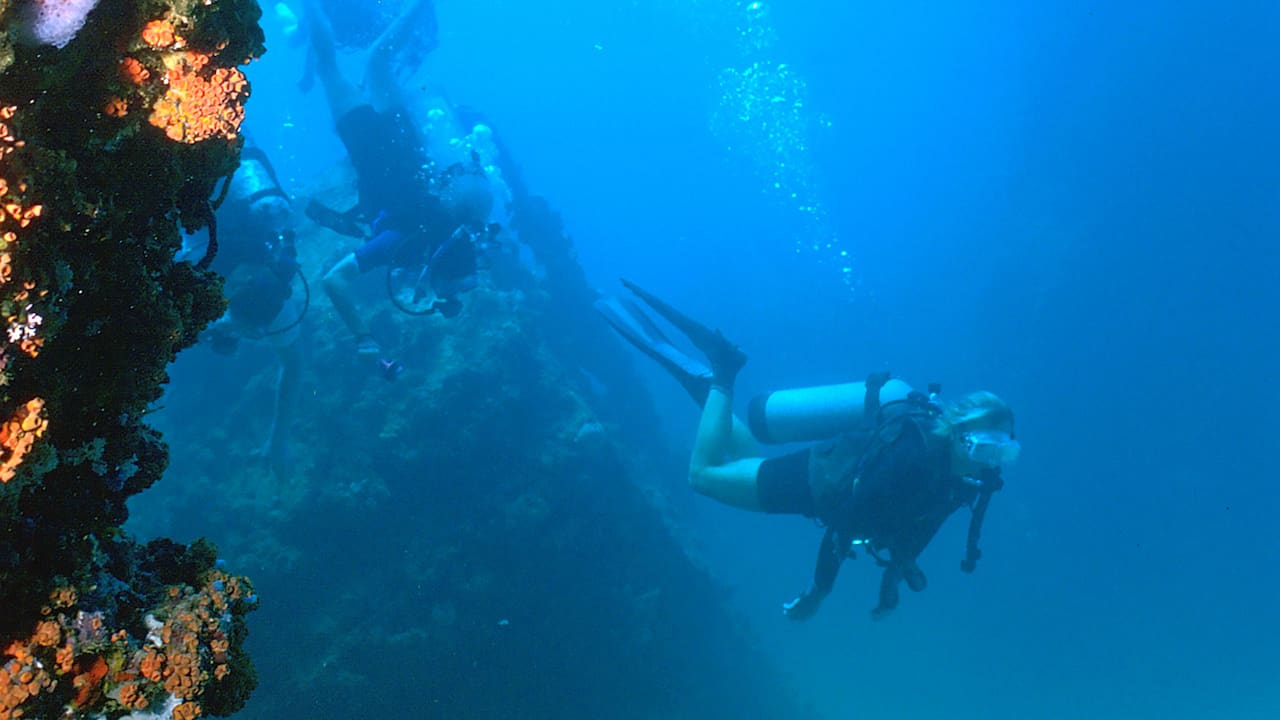 Diving Underwater