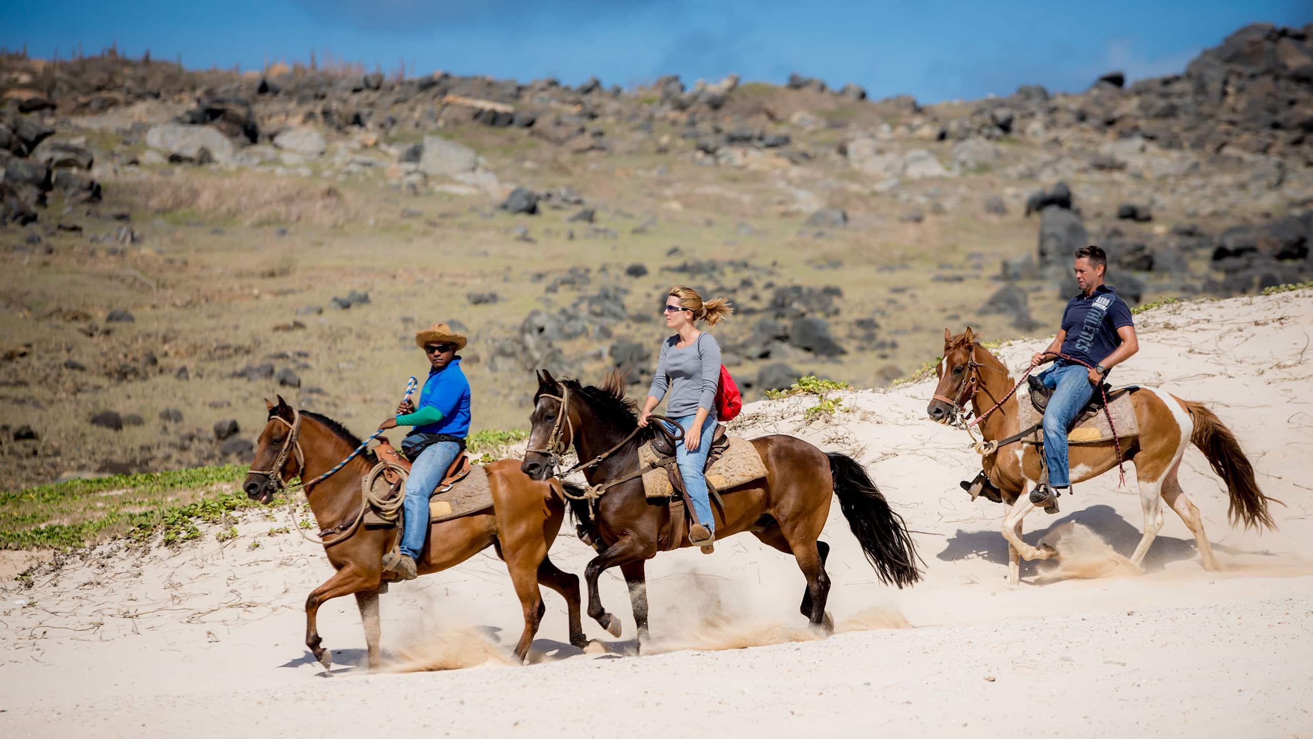 Hyatt Regency Aruba Resort Spa and Casino Horseback Riding Northshore Tour