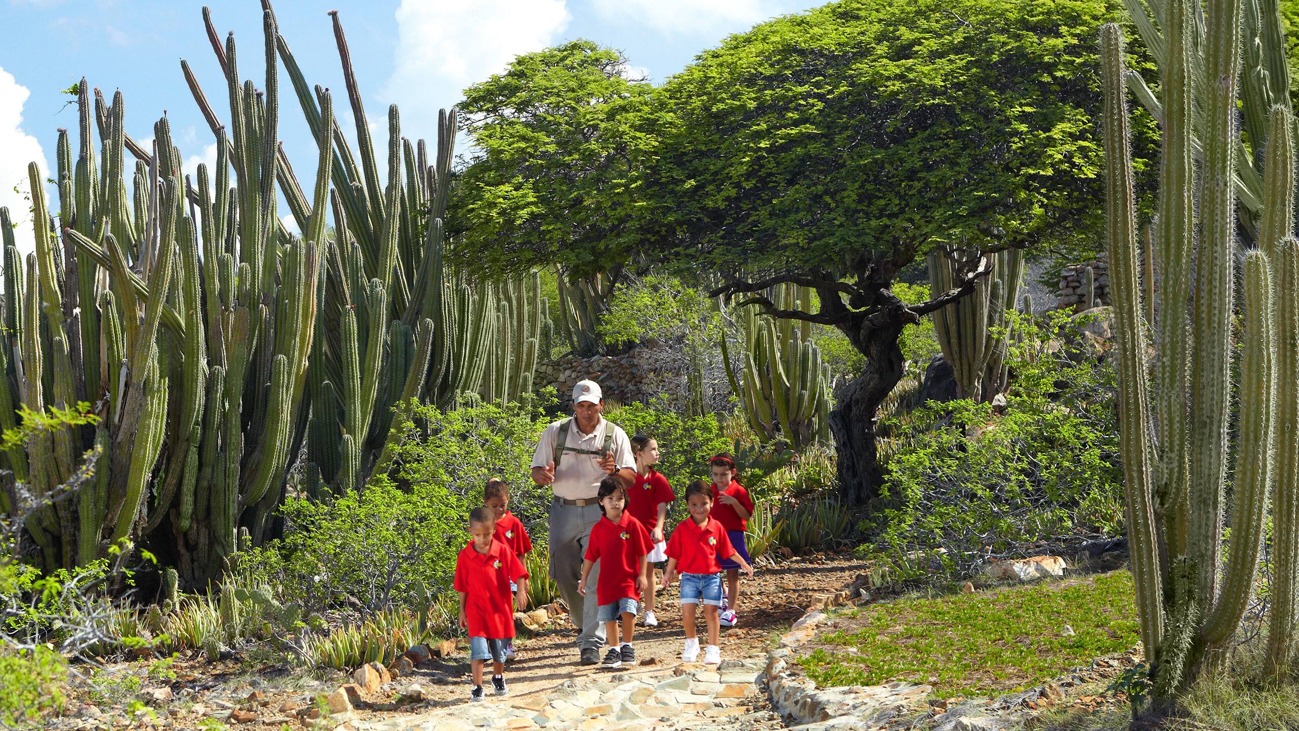 Hyatt Regency Aruba Resort Spa and Casino Kids With Park Ranger at Arikok