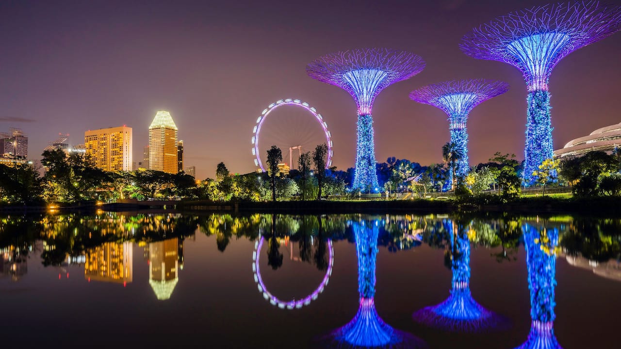 Garden in Singapore (Supertree Grove), Grand Hyatt Singapore