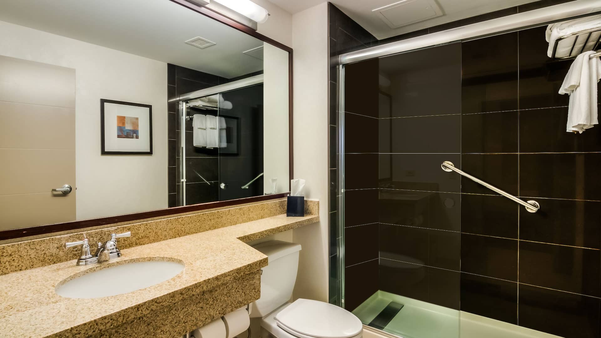 第 4，共 4 Hyatt House Chicago/Schaumburg Renovated 1 Bedroom
