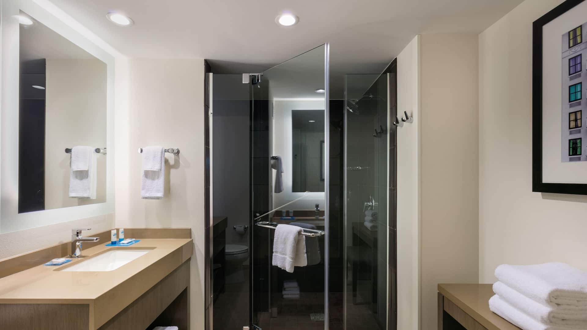 2 of 2 Hyatt House Charleston/Historic District Bathroom