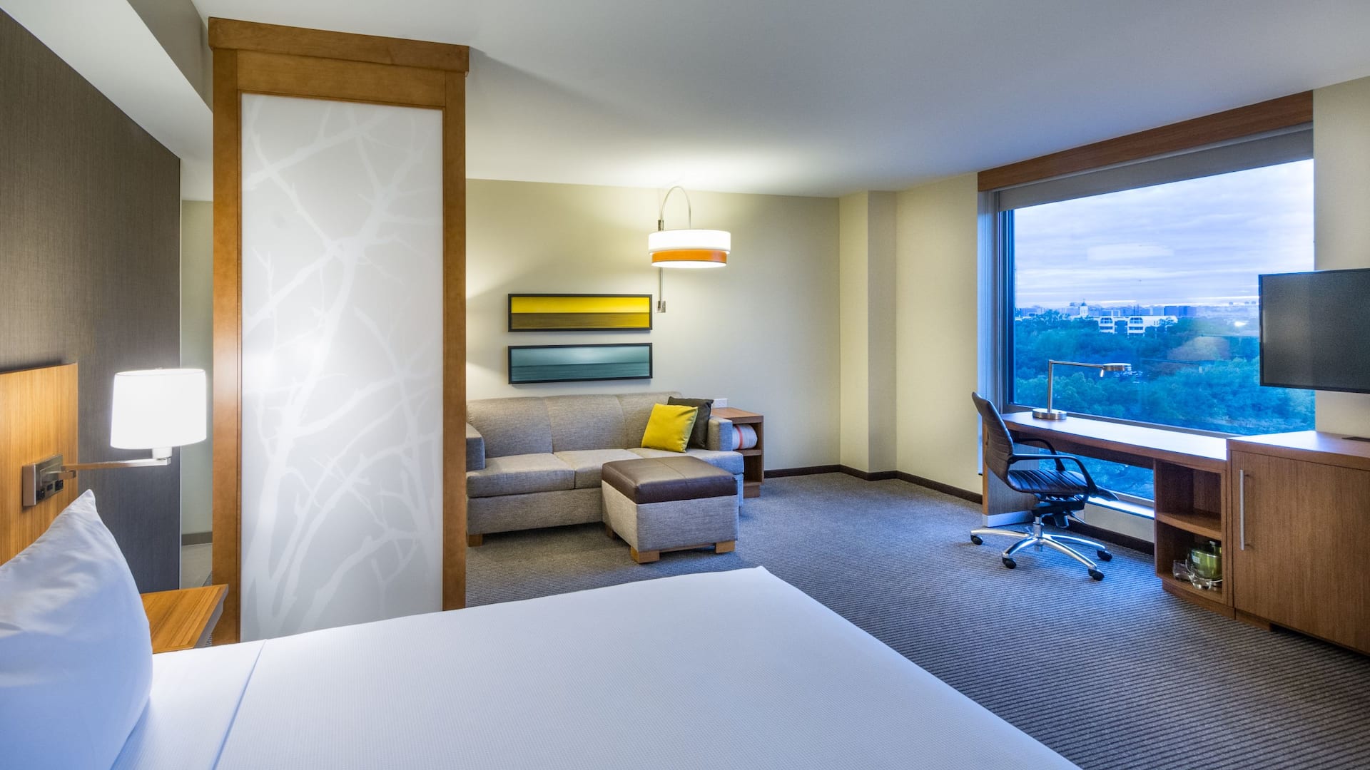 Hyatt Place Washington DC/National Mall Large King Room with View