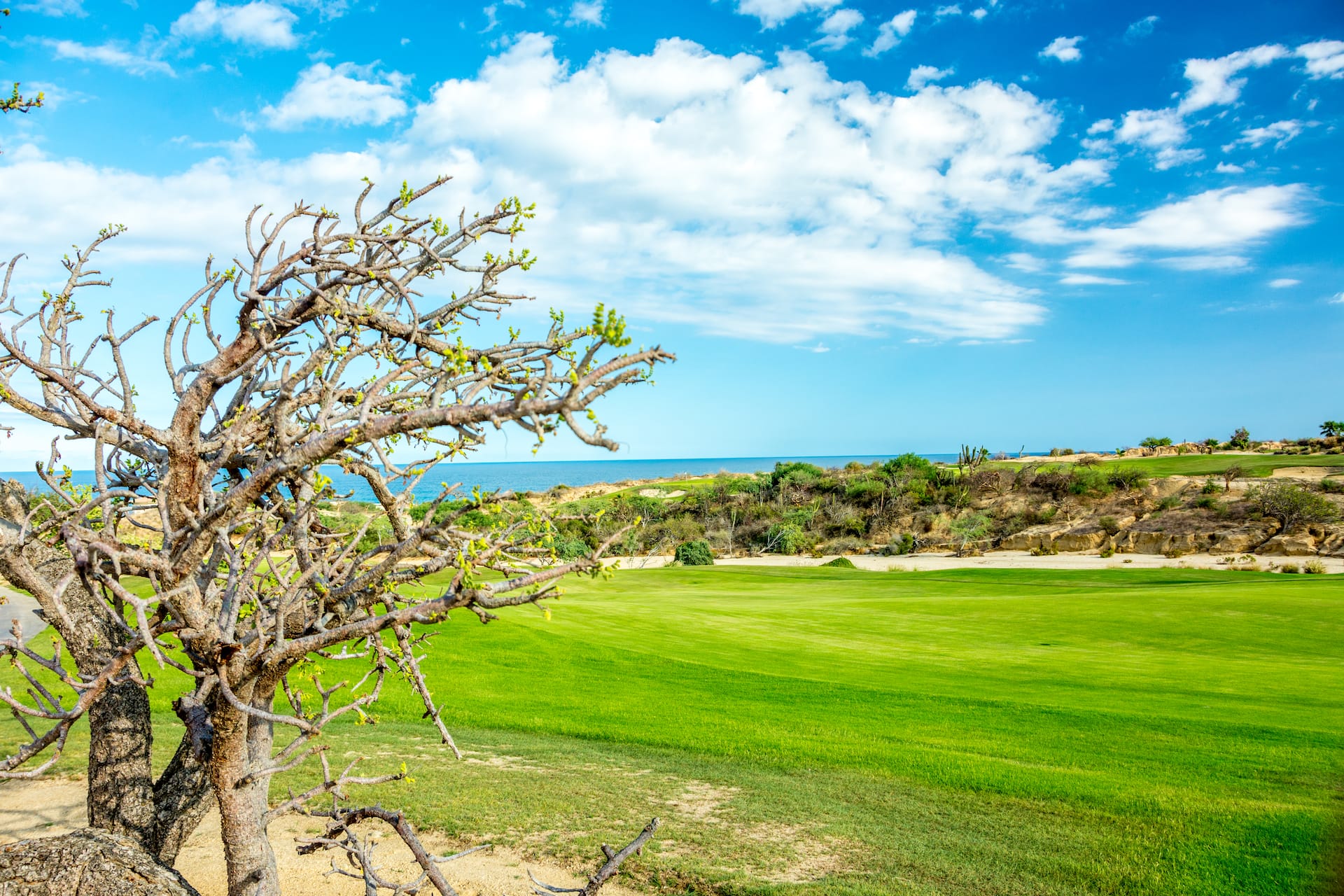 Hyatt Place Los Cabos Golf Course