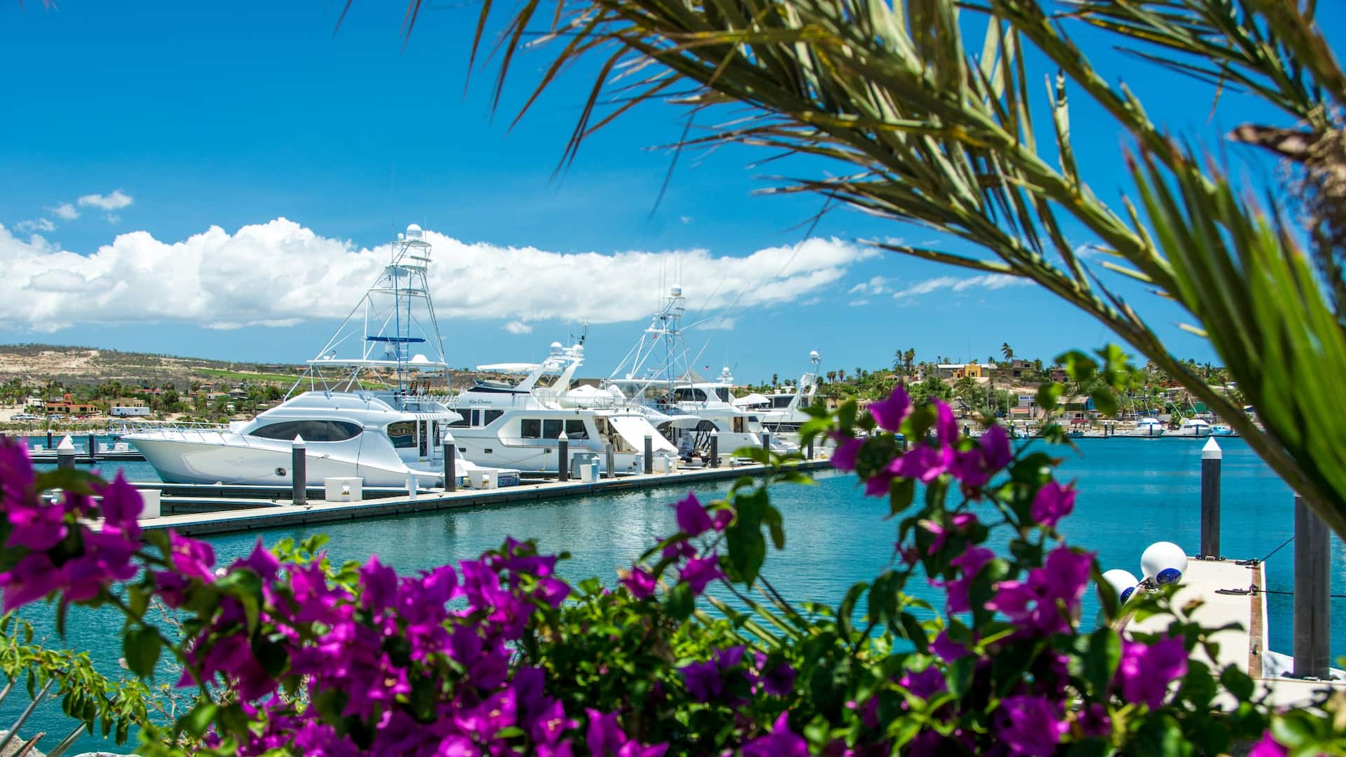 Hyatt Place Los Cabos San Jose del Cabo Marina