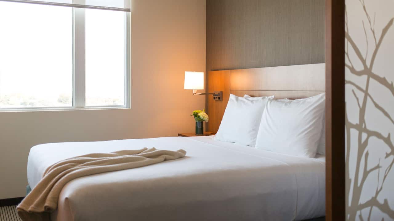 Hyatt Place Charleston/Historic District Accessible King Bed with Sofa Bed