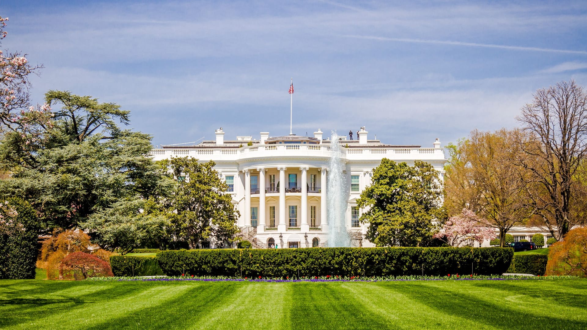 Hyatt Place Washington DC/National Mall The White House