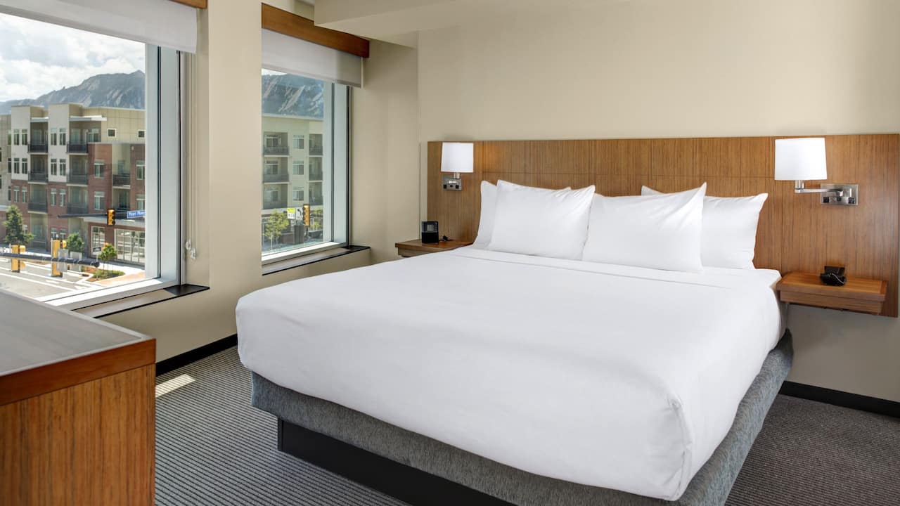 Accessible King Suite with roll-in shower and sofa bed