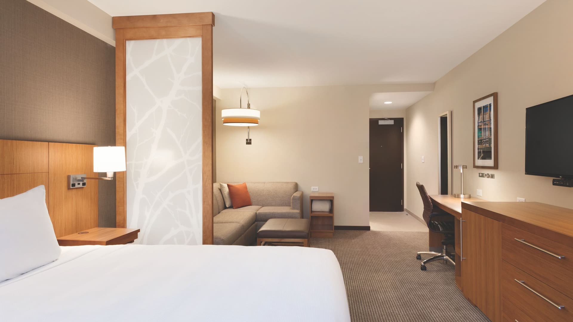 Hyatt Place Buffalo/Amherst King Bed with Sofabed