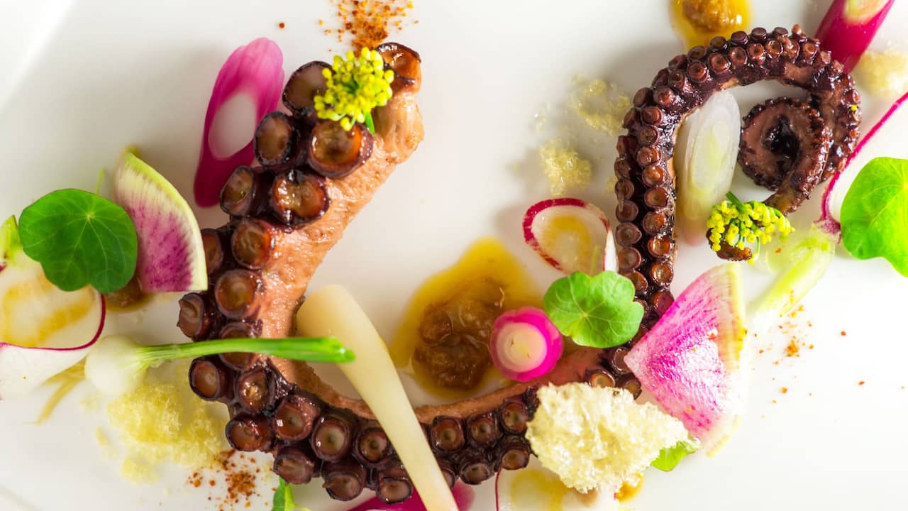 Octopus dish at a Vancouver hotel