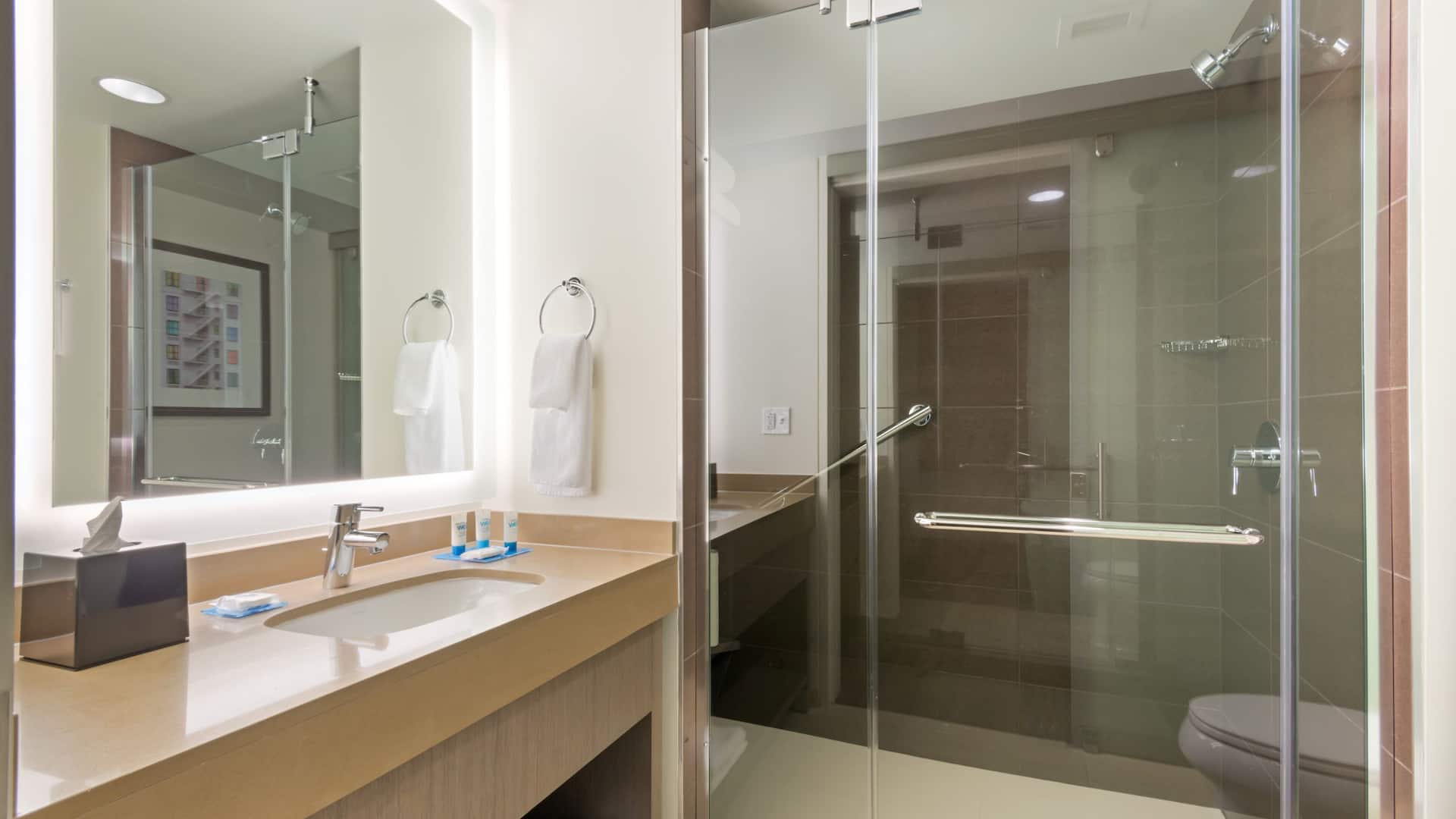 2/2 Hyatt House Denver/Downtown King Studio Bath 604
