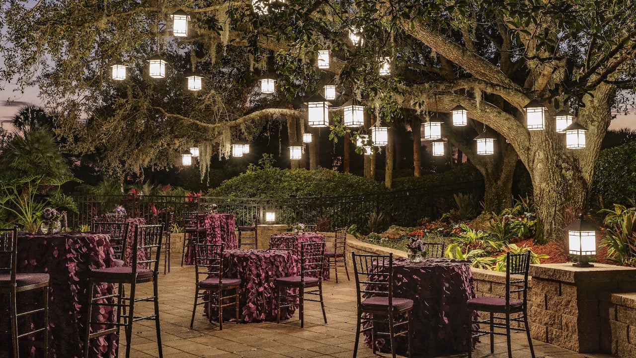 Hyatt Regency Grand Cypress Oak Terrace Reception