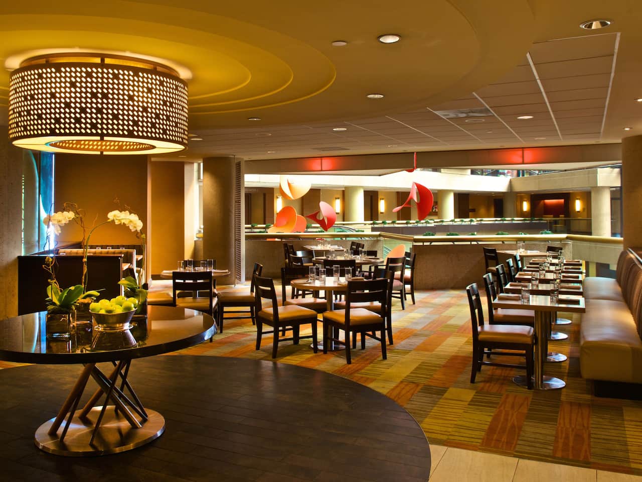 Cinnabar Hyatt Regency Crystal City 