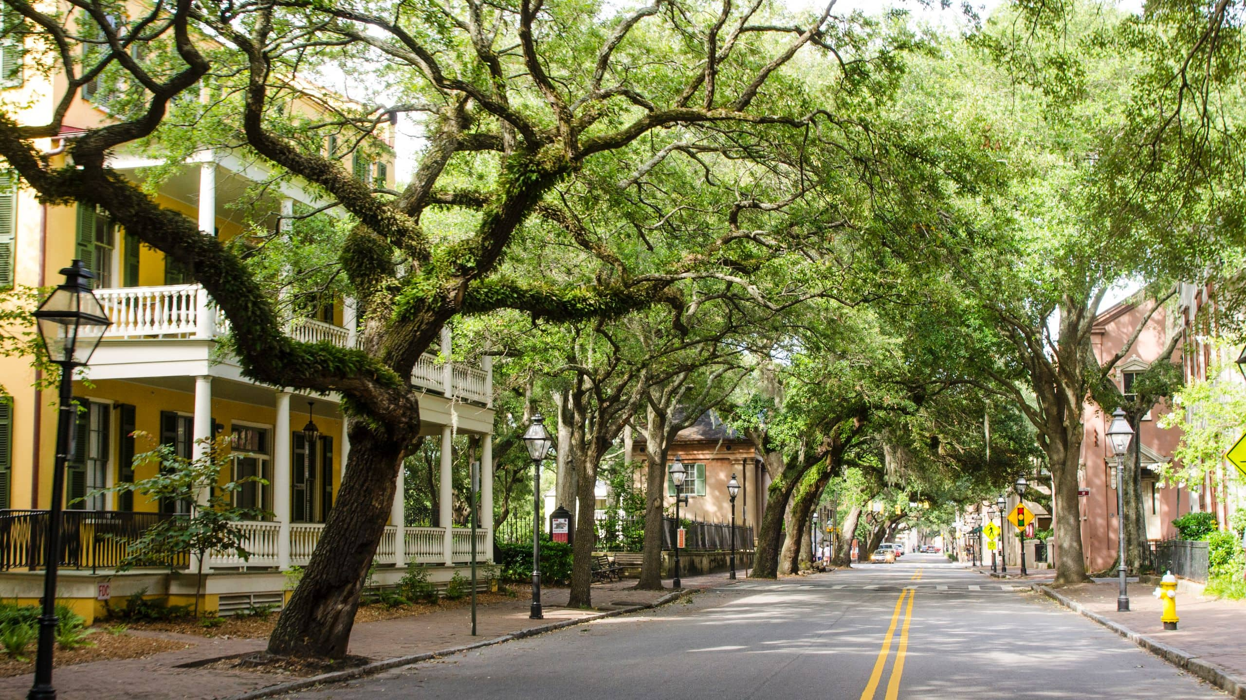 Hotel In Downtown Charleston | Hyatt Place Charleston/Historic District