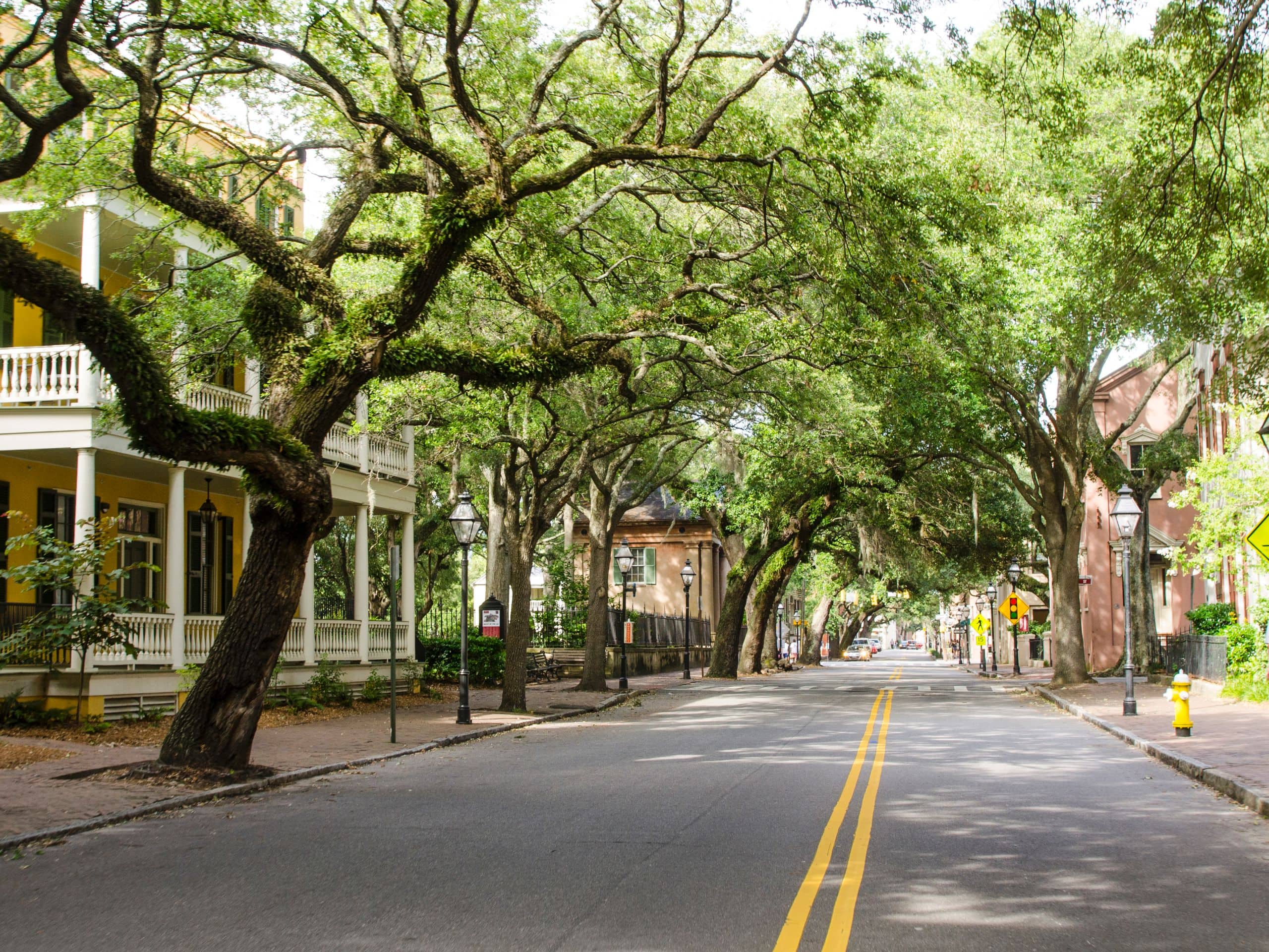 Charleston Street