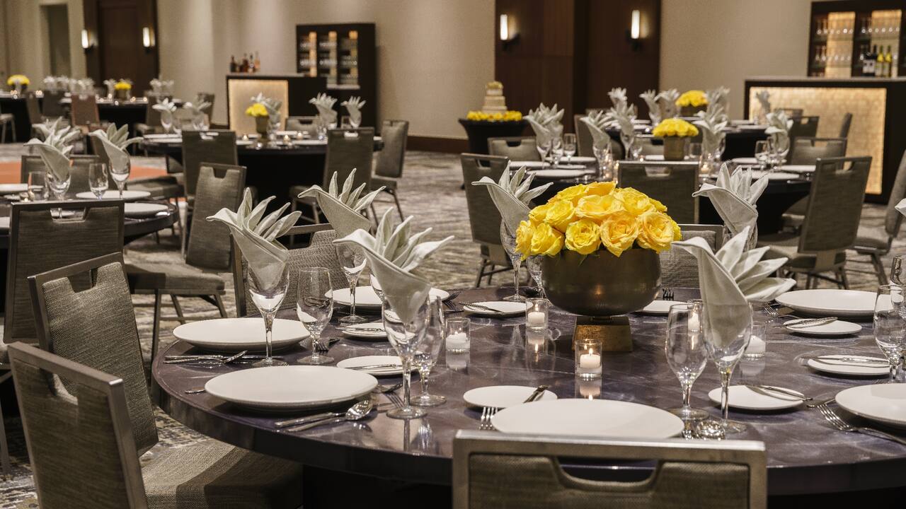Wedding Reception