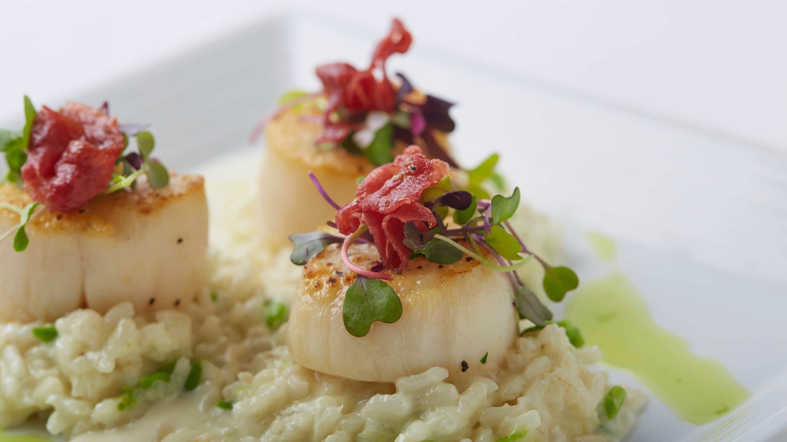 Hyatt Regency Milwaukee Bistro Jumbo Scallops