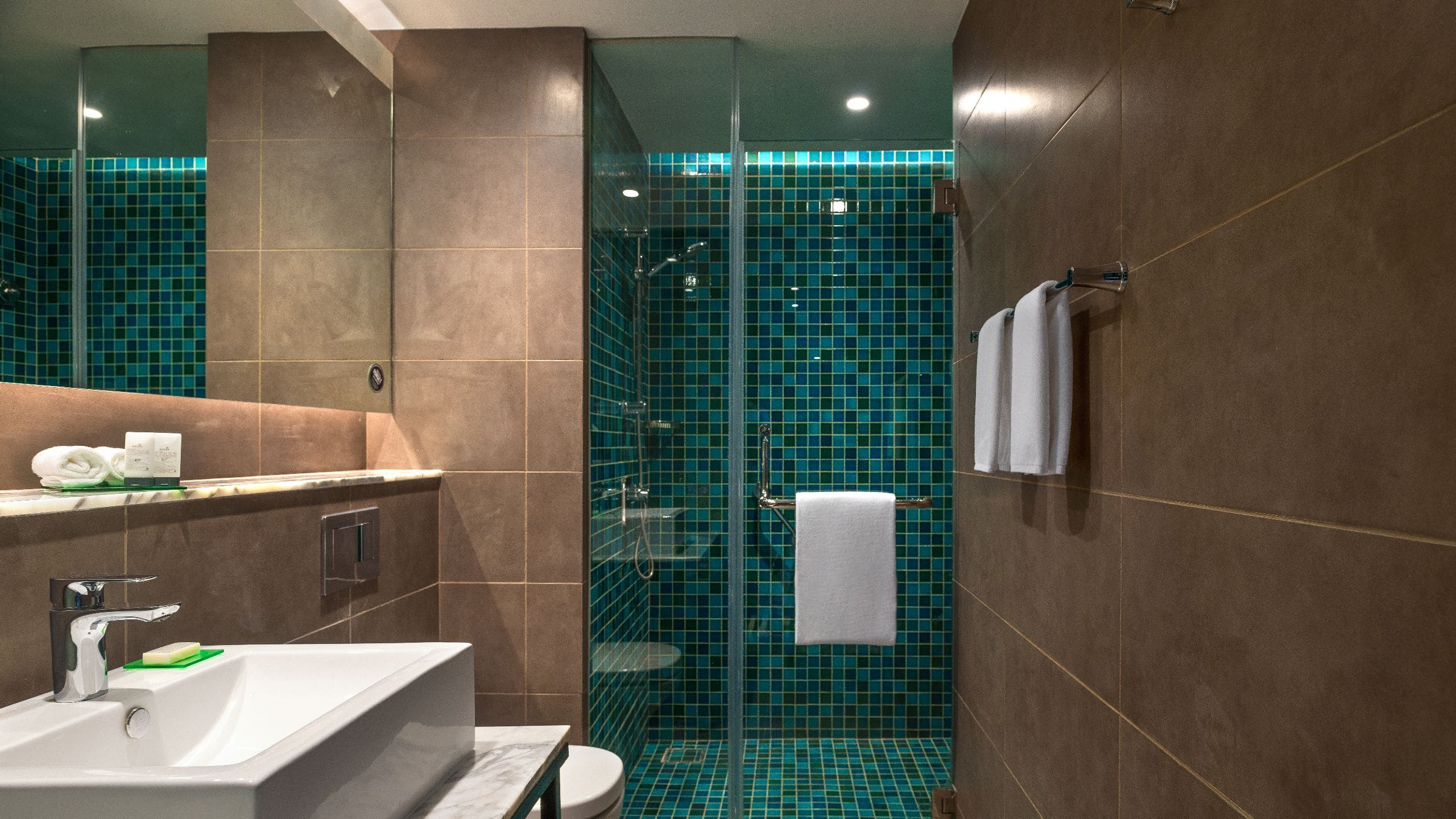 第 5，共 5 Hyatt Centric Candolim Goa Bathroom