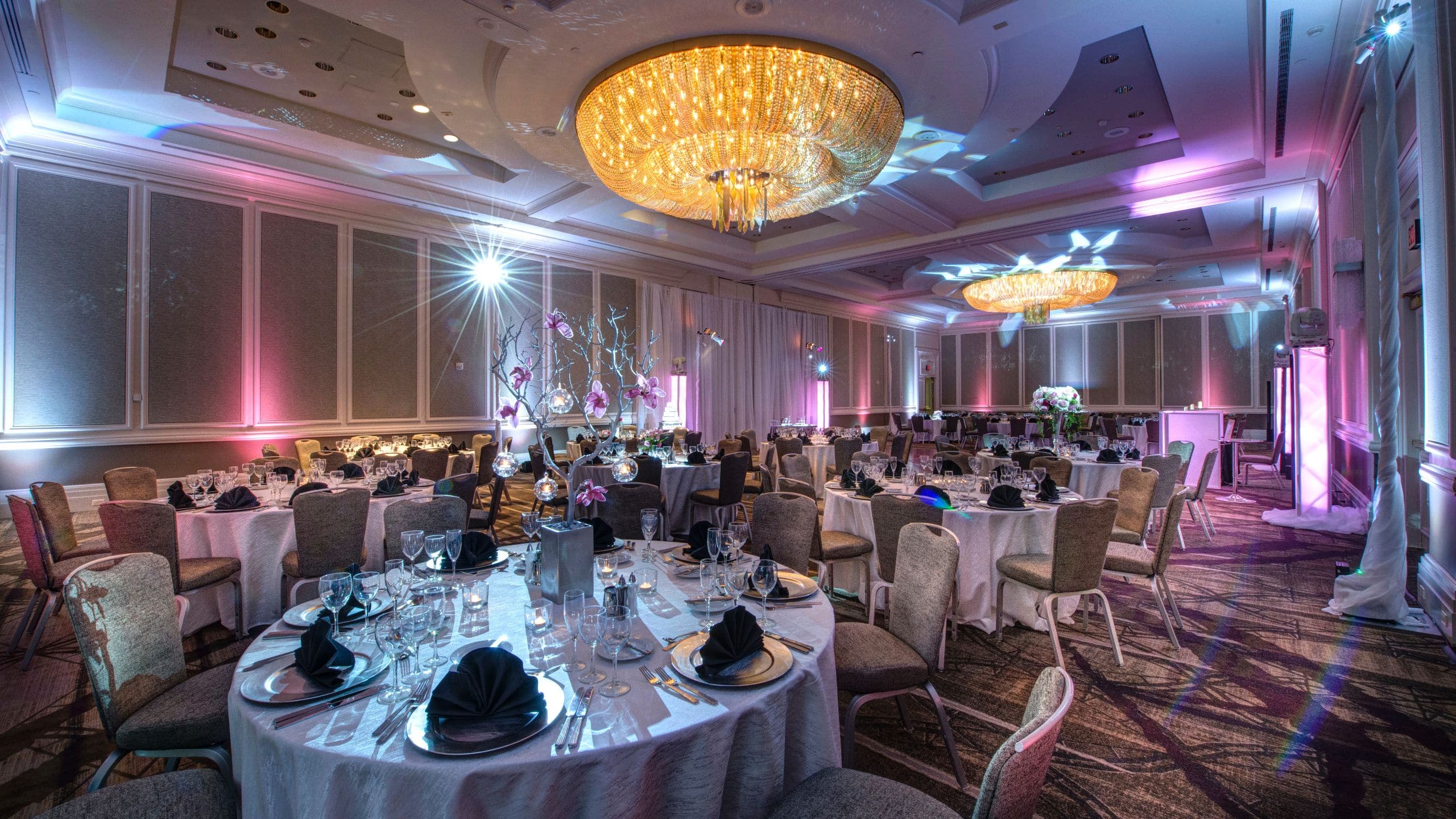 Hyatt Regency Reston Wedding Reception