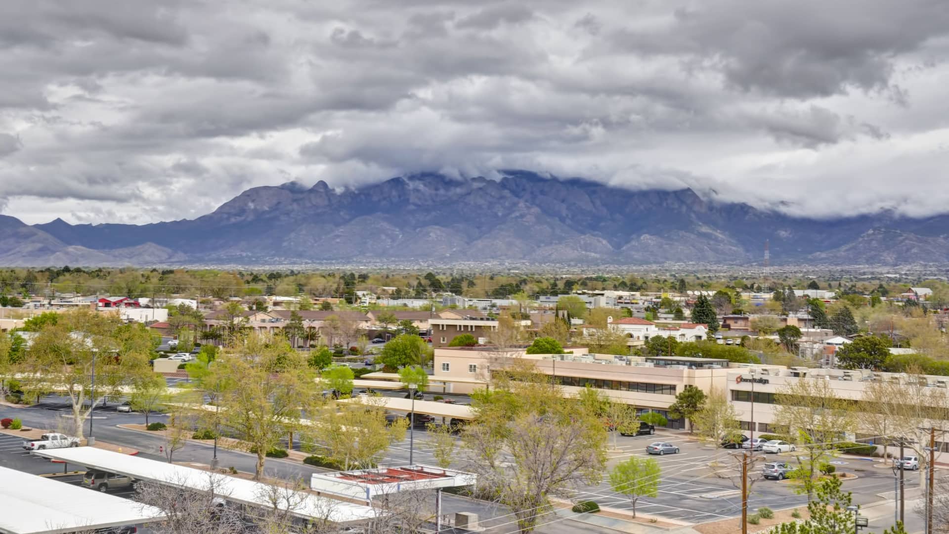 Albuquerque View