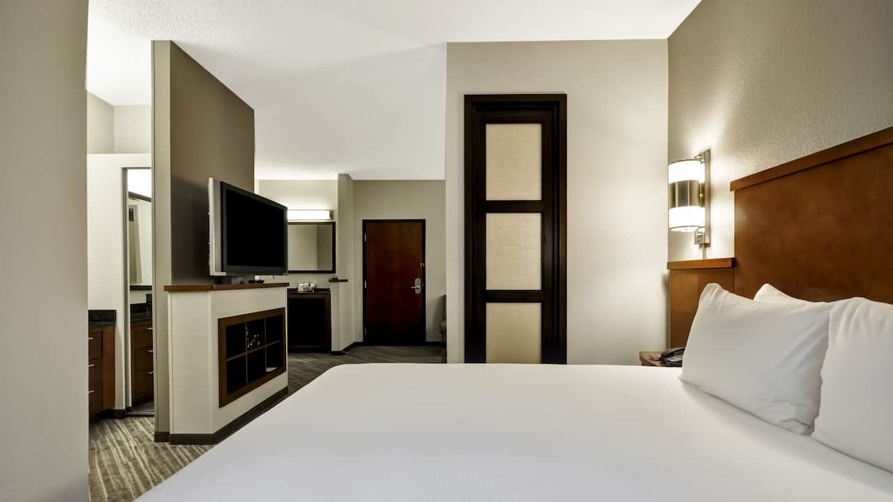 Hyatt Place Tampa Airport/Westshore King Bed with sofa bed