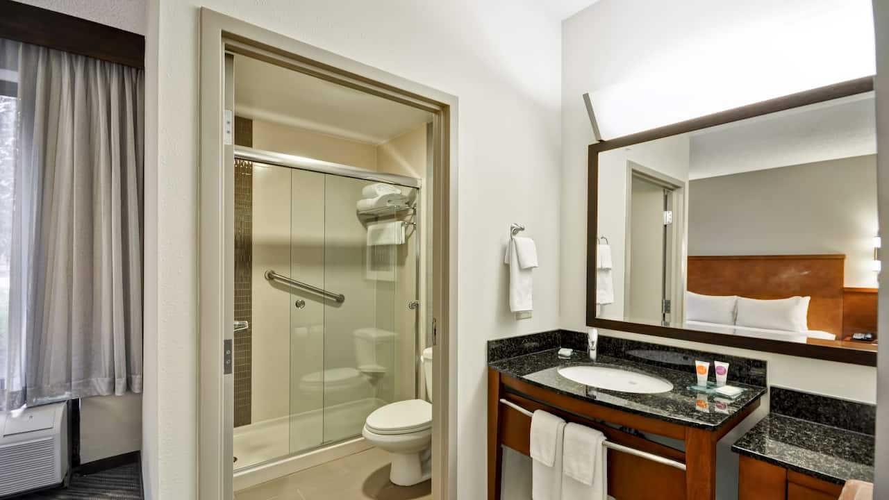 Hyatt Place Tampa Airport/Westshore Standard Bathroom